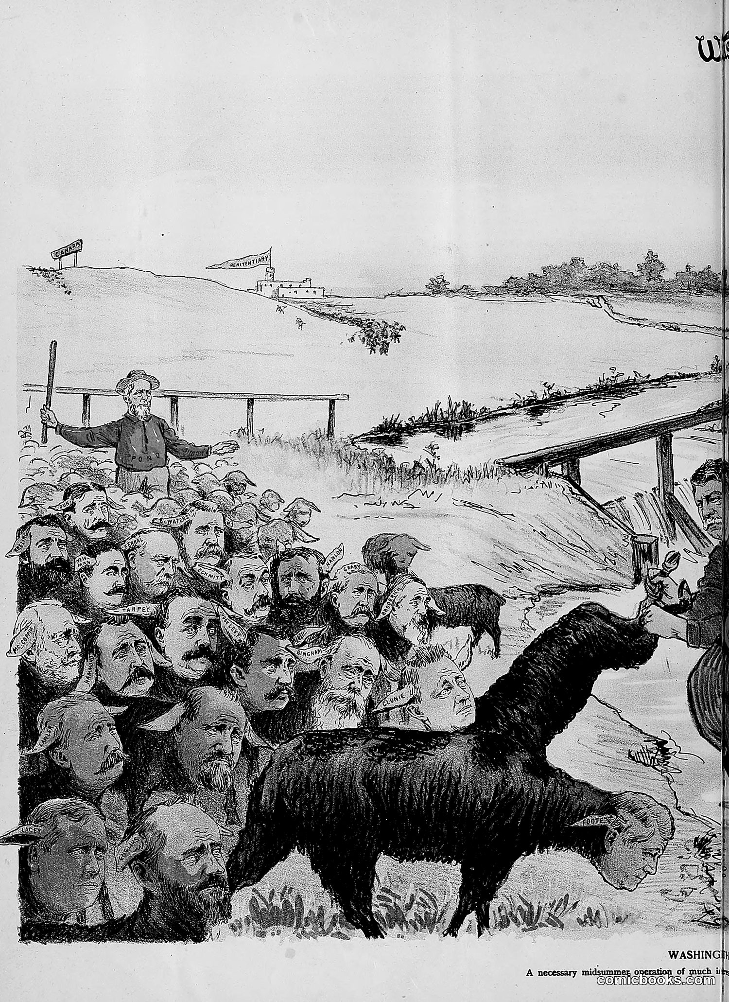 The Wasp — 1892 — page 81 of 590