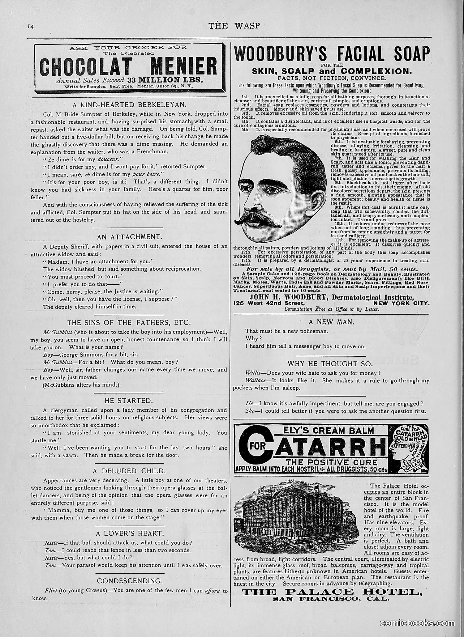 The Wasp — 1892 — page 85 of 590