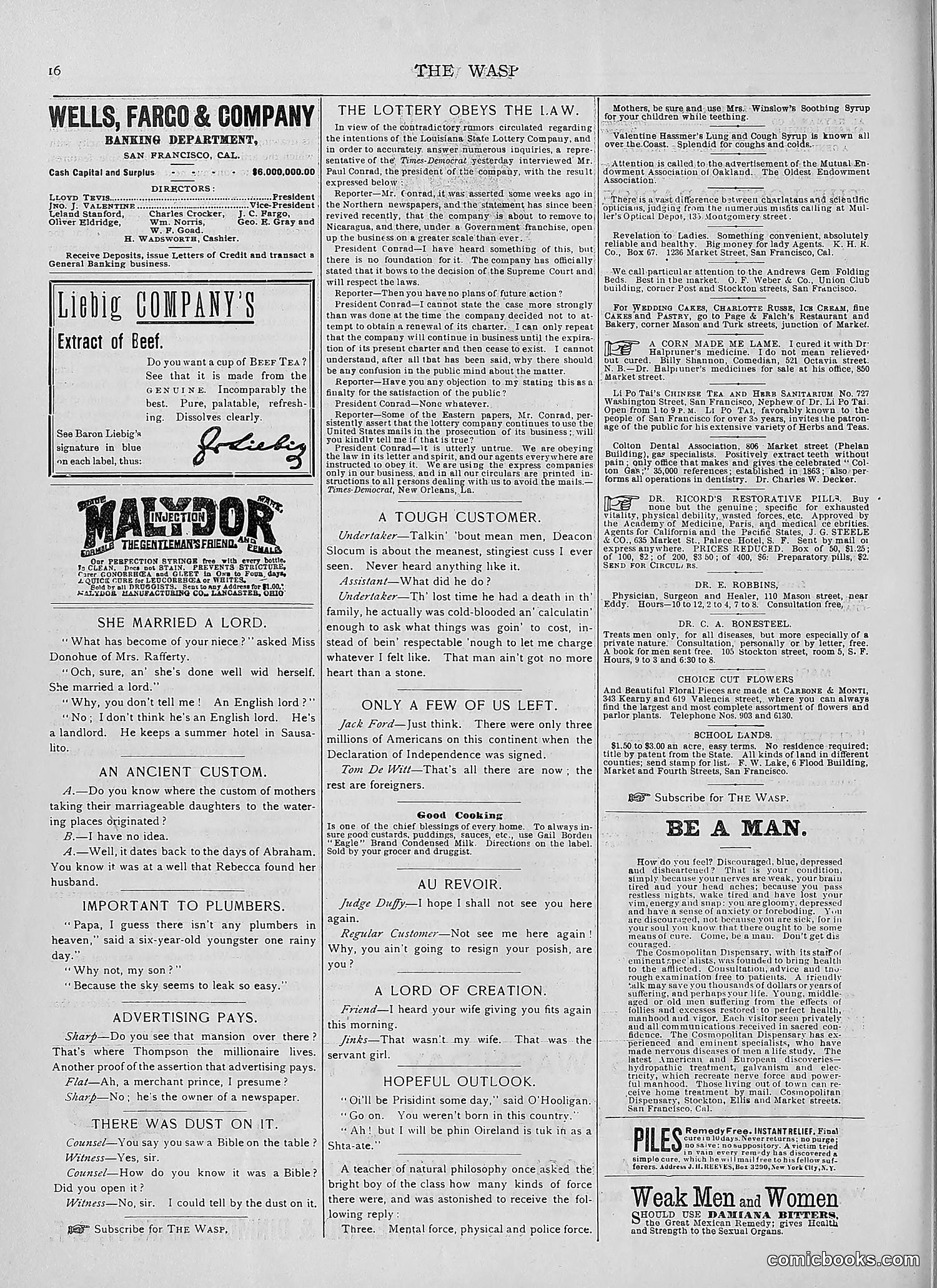The Wasp — 1892 — page 87 of 590