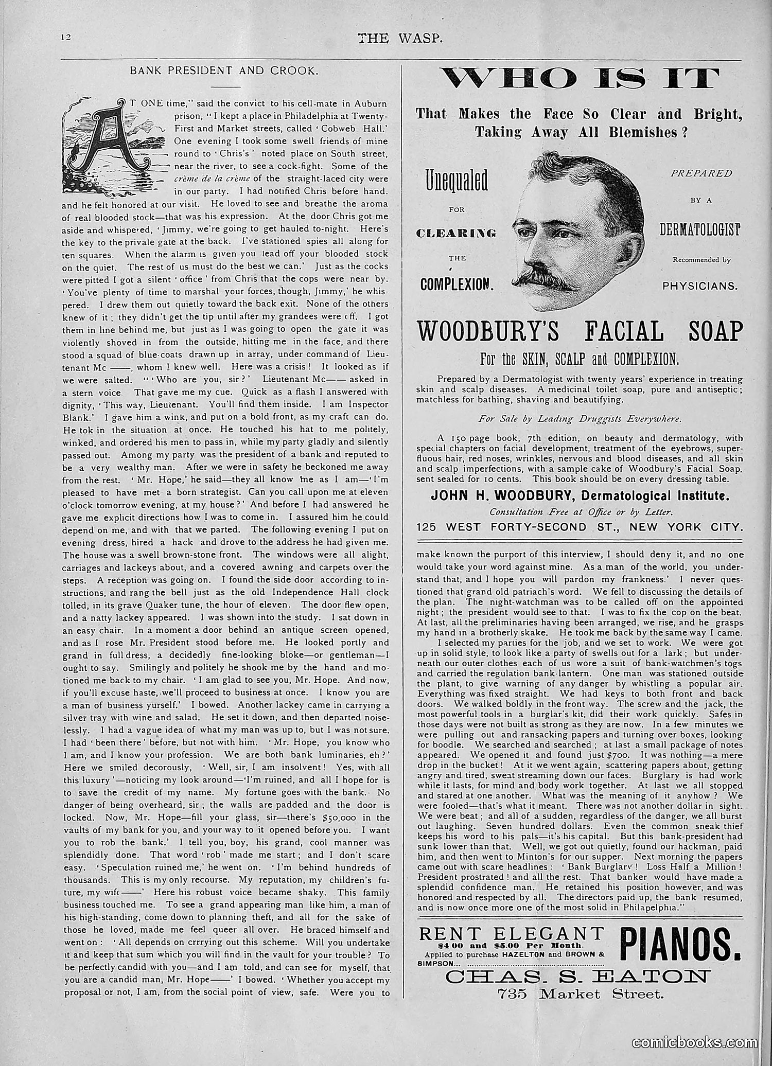 The Wasp — 1893 — page 105 of 578