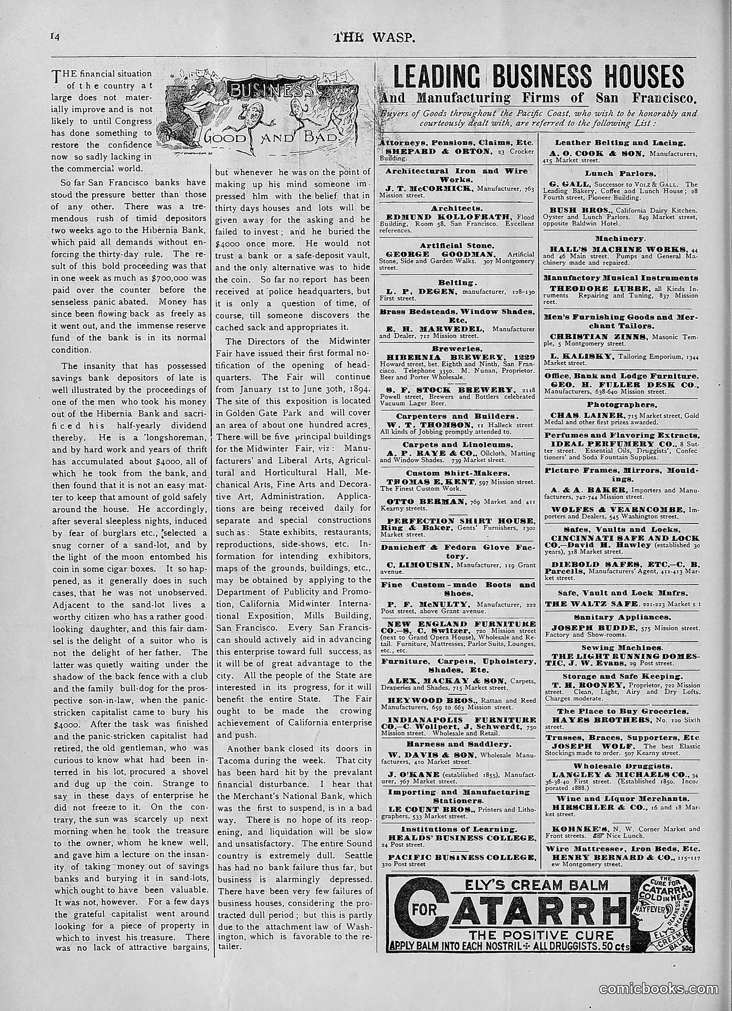 The Wasp — 1893 — page 107 of 578