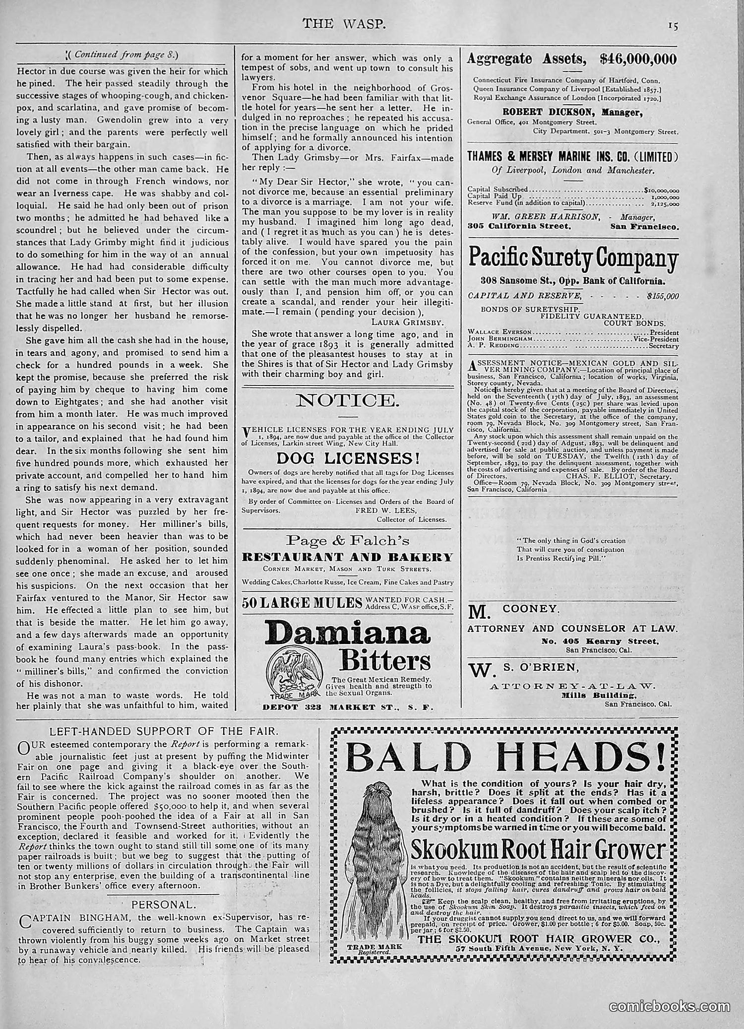 The Wasp — 1893 — page 108 of 578