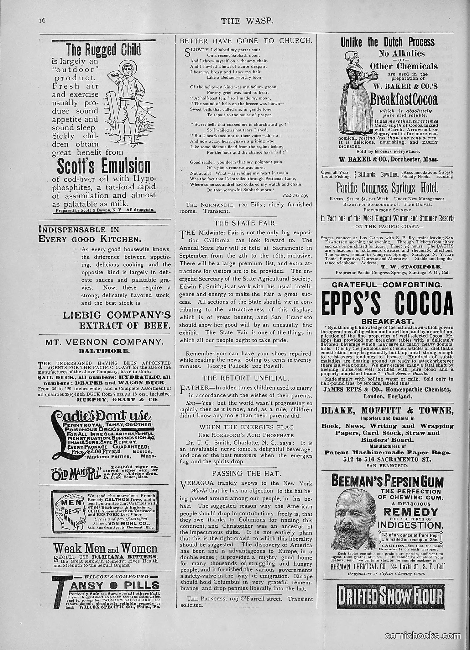 The Wasp — 1893 — page 109 of 578