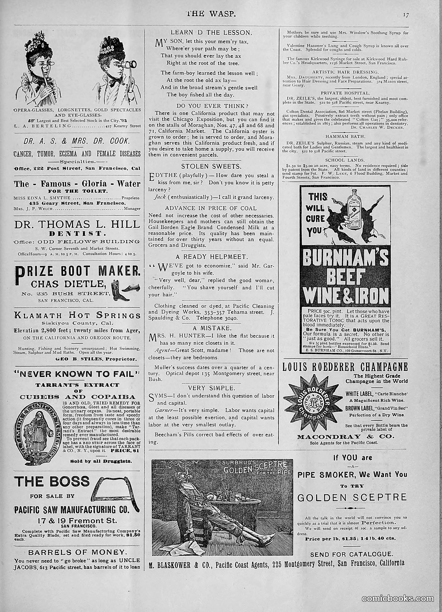 The Wasp — 1893 — page 110 of 578
