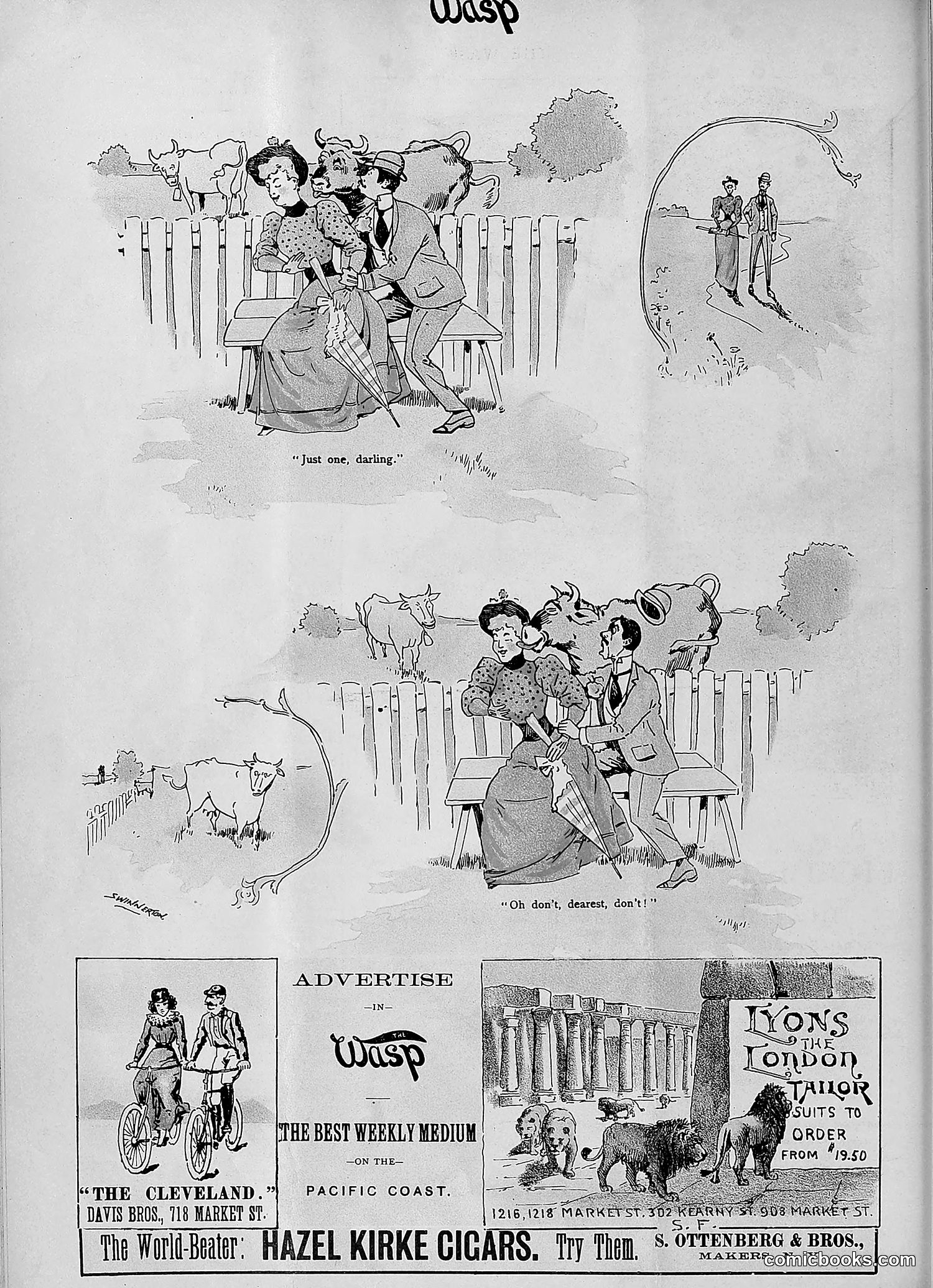 The Wasp — 1893 — page 113 of 578