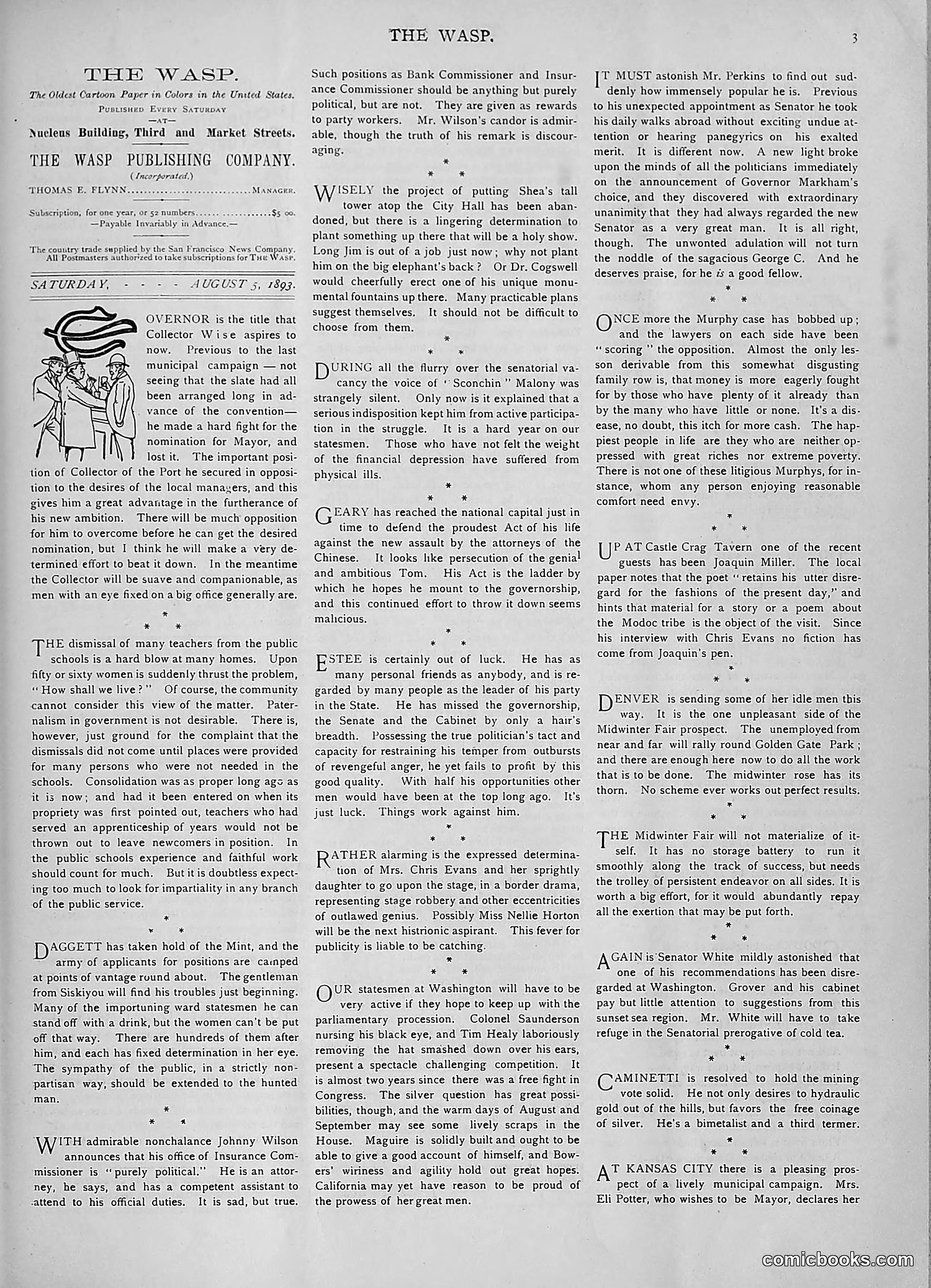 The Wasp — 1893 — page 116 of 578