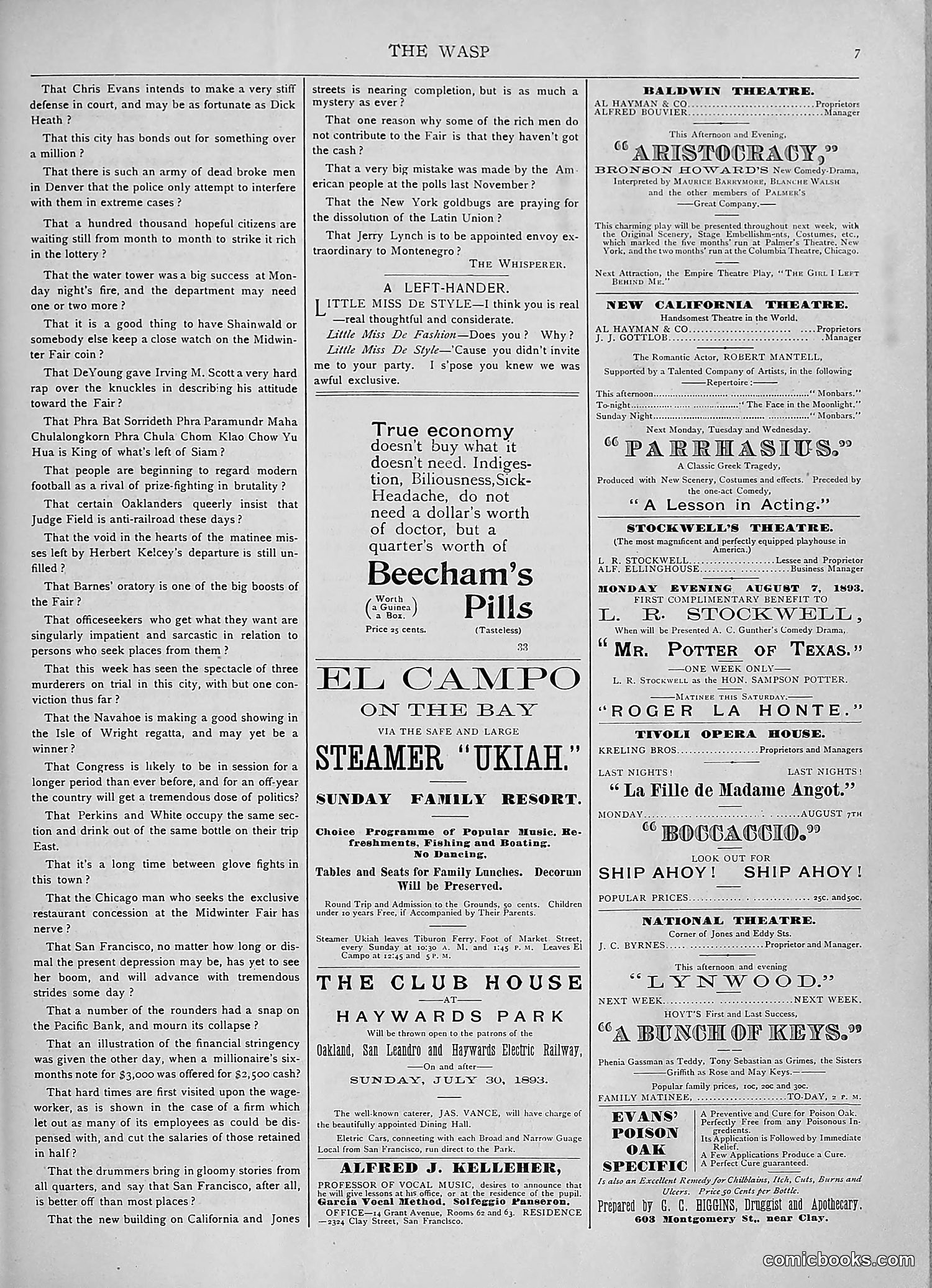 The Wasp — 1893 — page 120 of 578