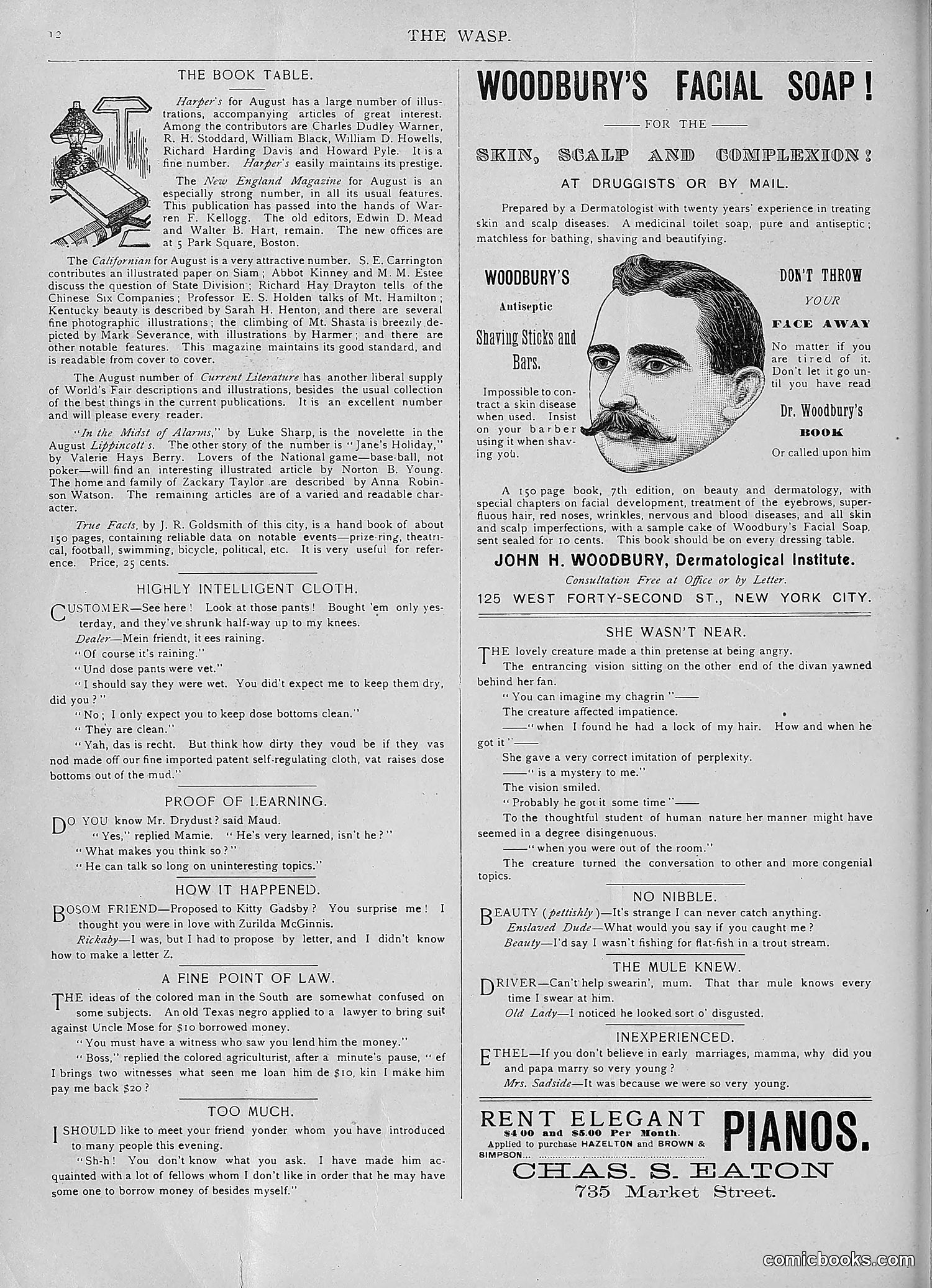 The Wasp — 1893 — page 125 of 578