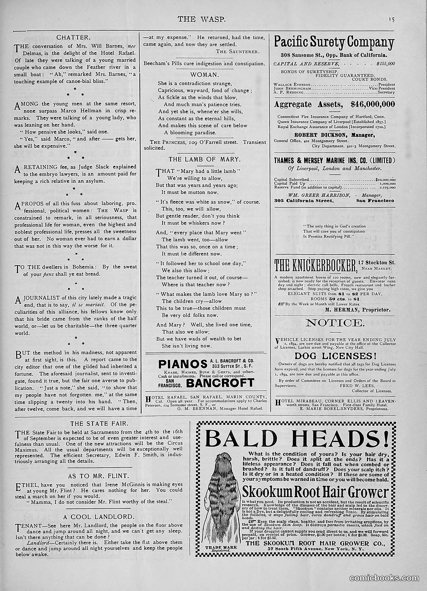The Wasp — 1893 — page 128 of 578