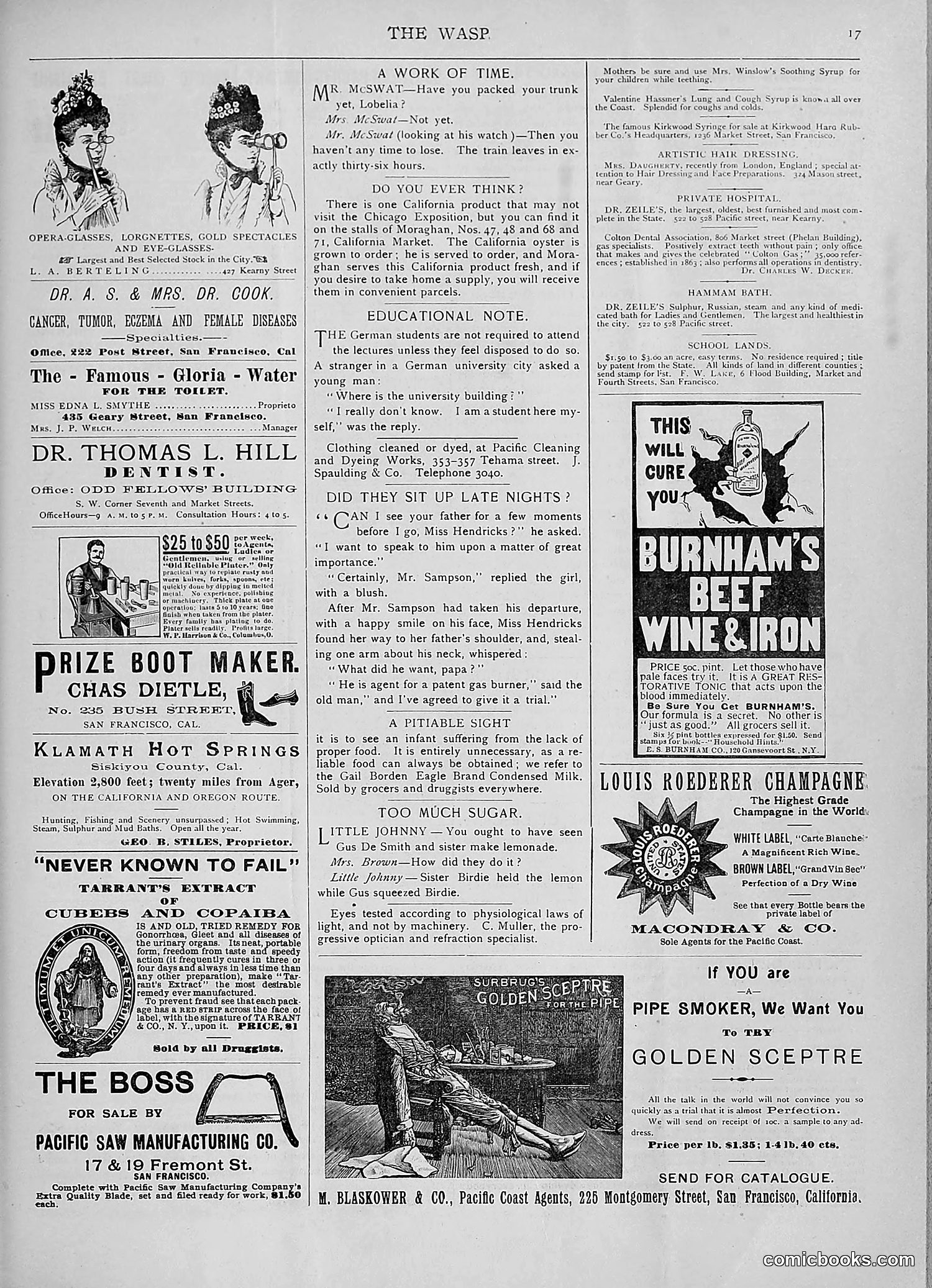 The Wasp — 1893 — page 130 of 578
