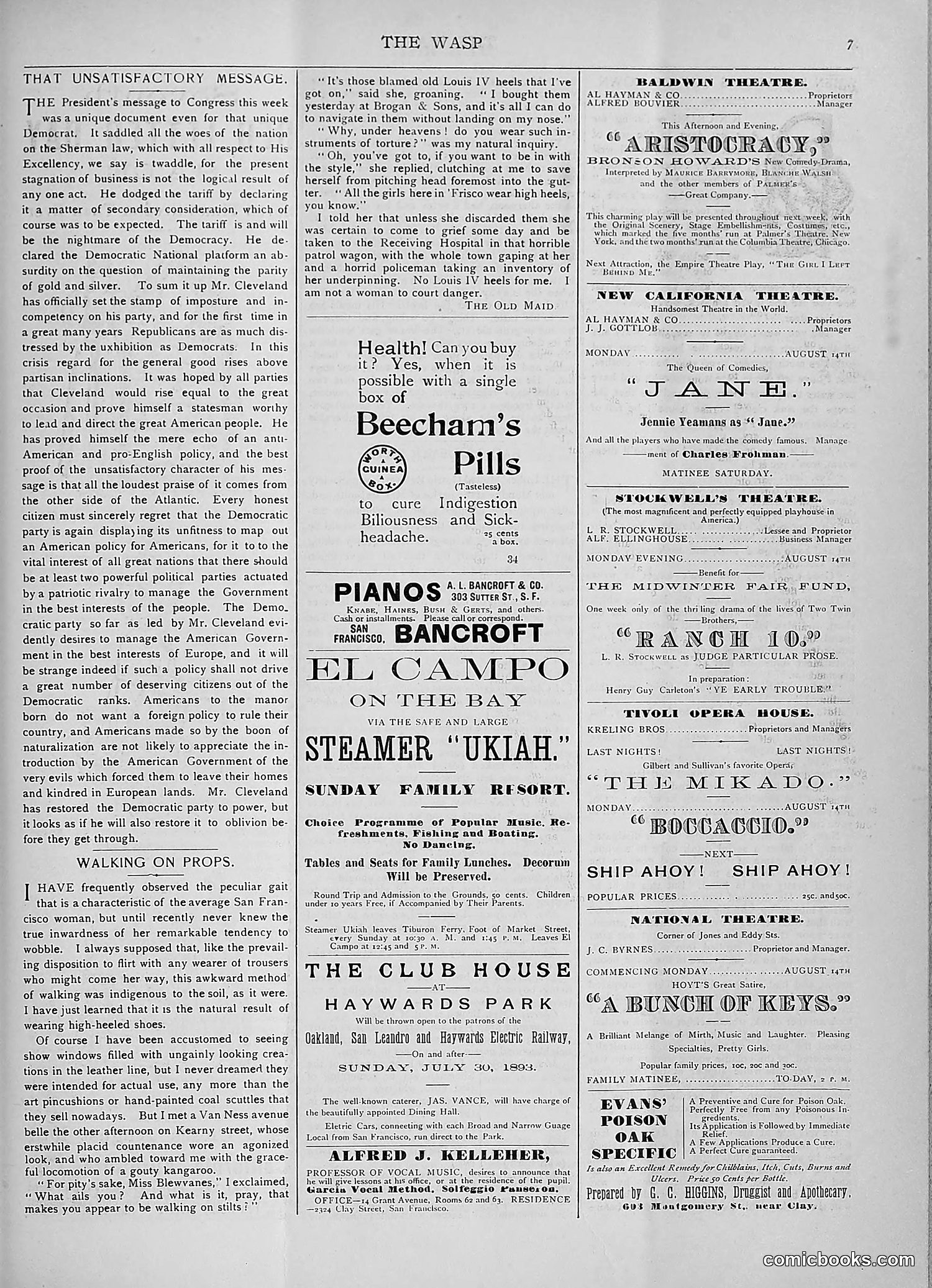 The Wasp — 1893 — page 142 of 578