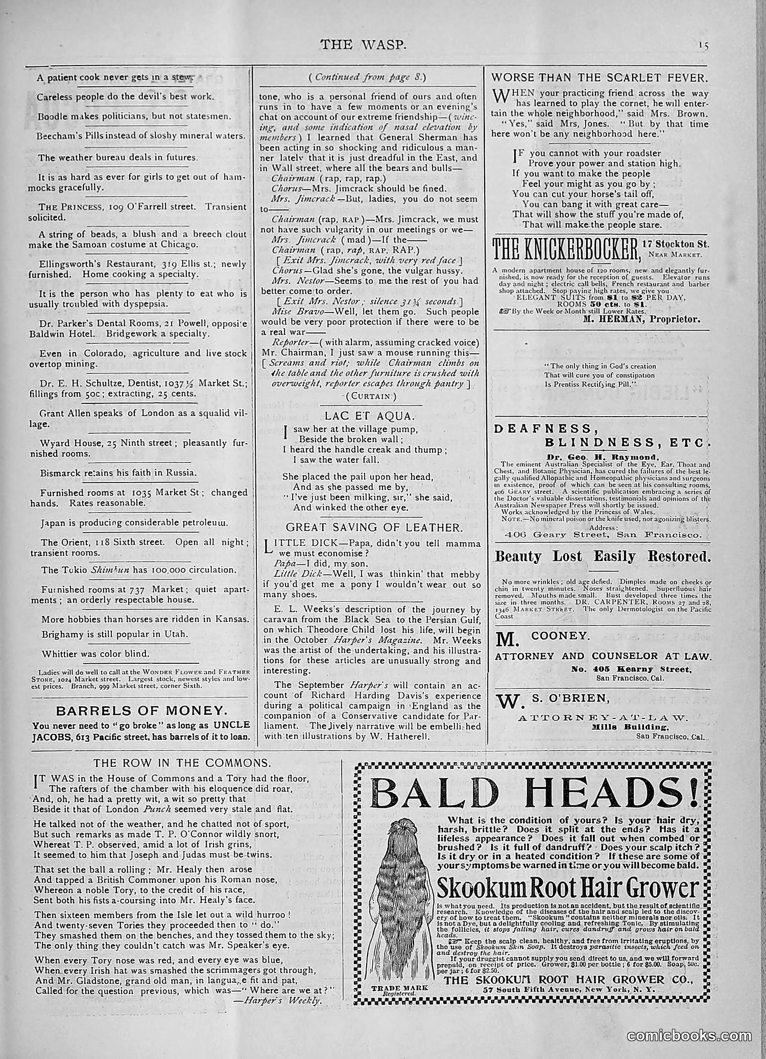 The Wasp — 1893 — page 150 of 578