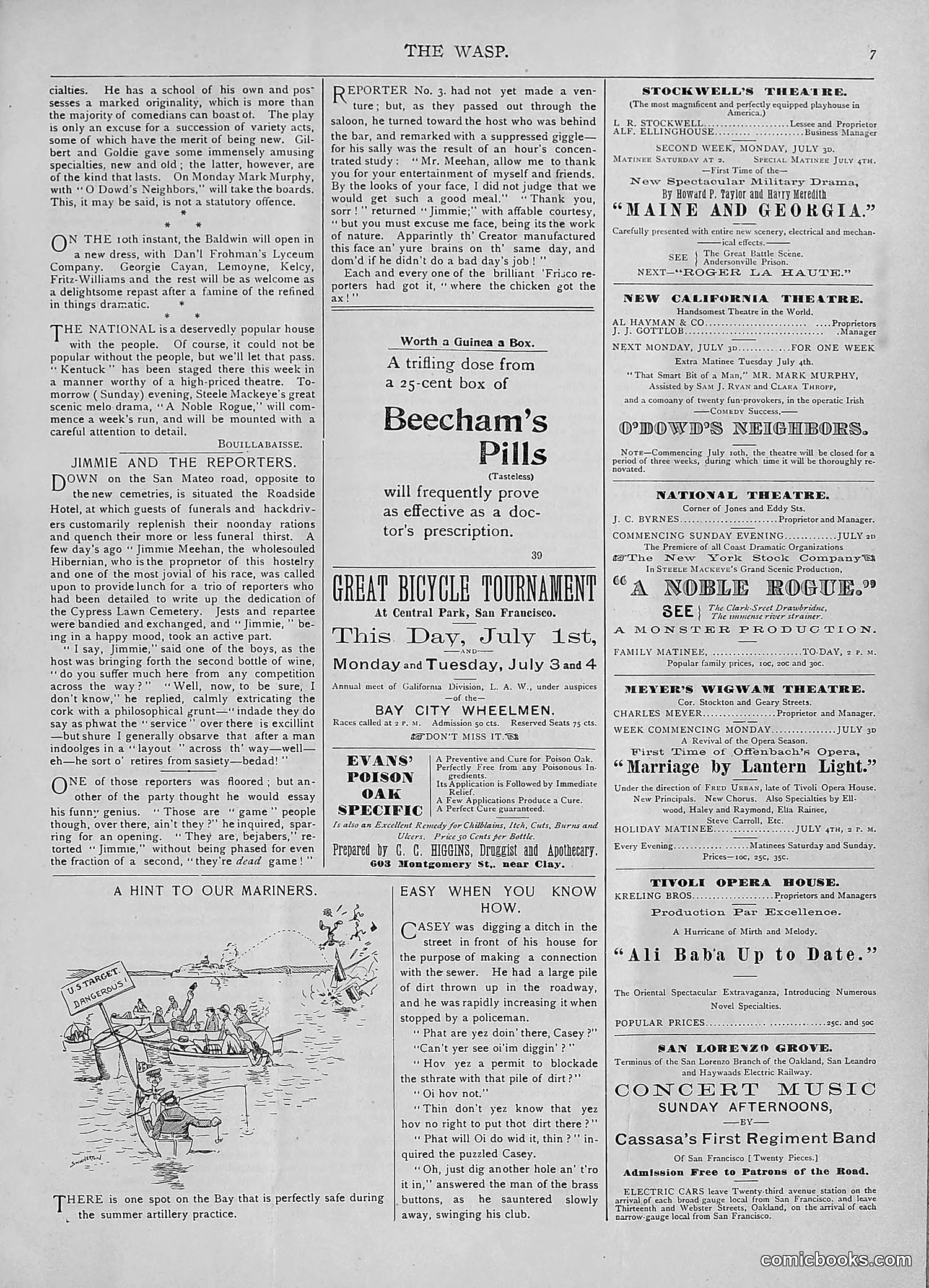 The Wasp — 1893 — page 16 of 578