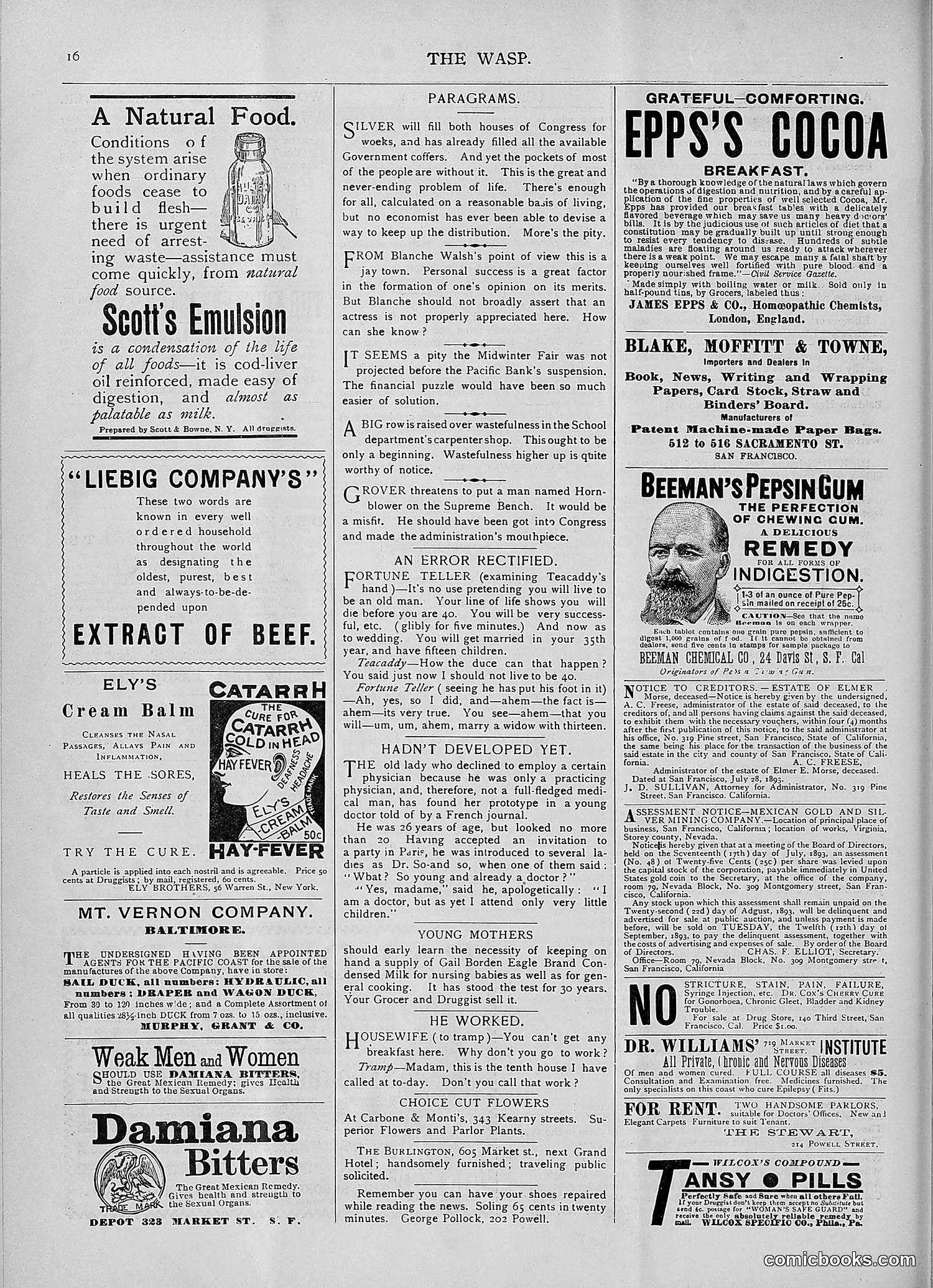 The Wasp — 1893 — page 151 of 578