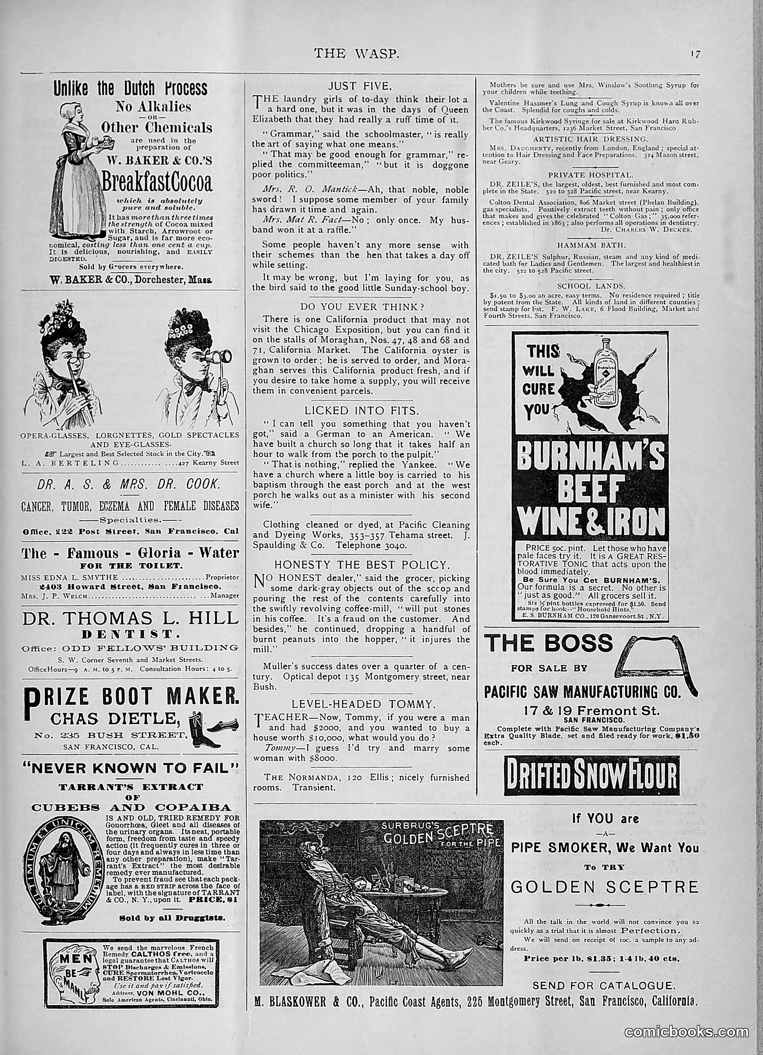 The Wasp — 1893 — page 152 of 578