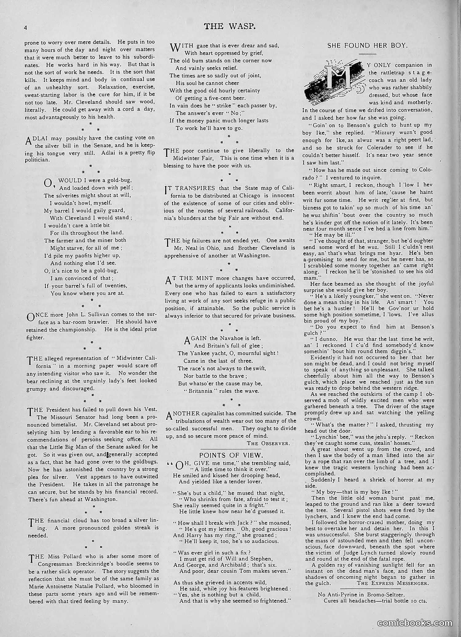 The Wasp — 1893 — page 159 of 578