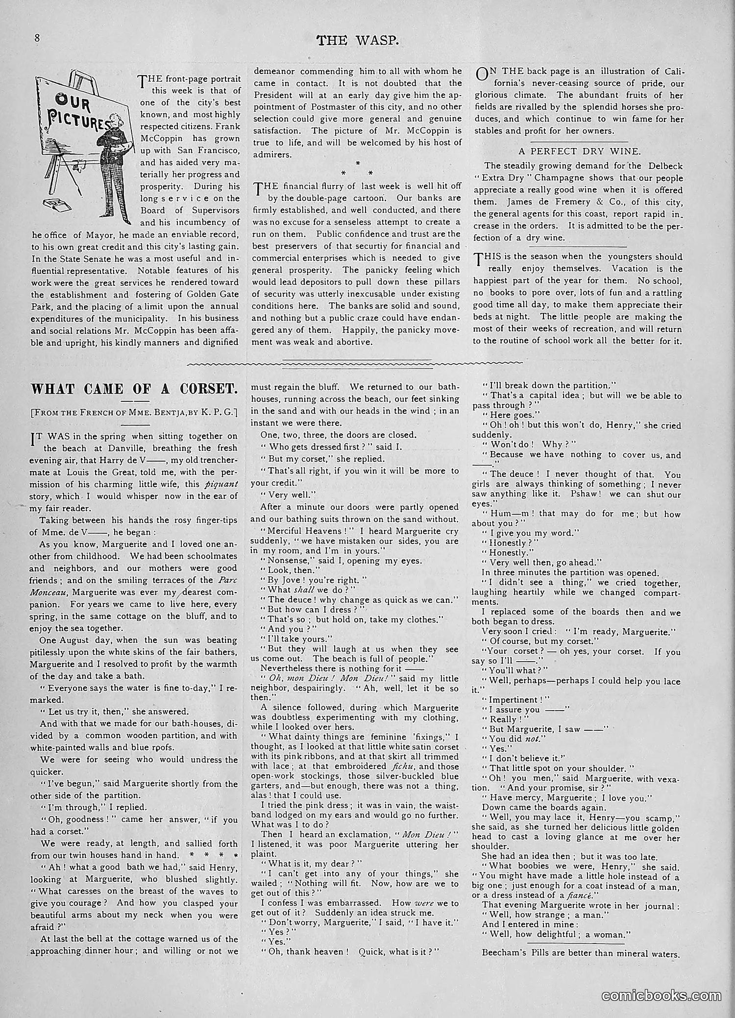 The Wasp — 1893 — page 17 of 578