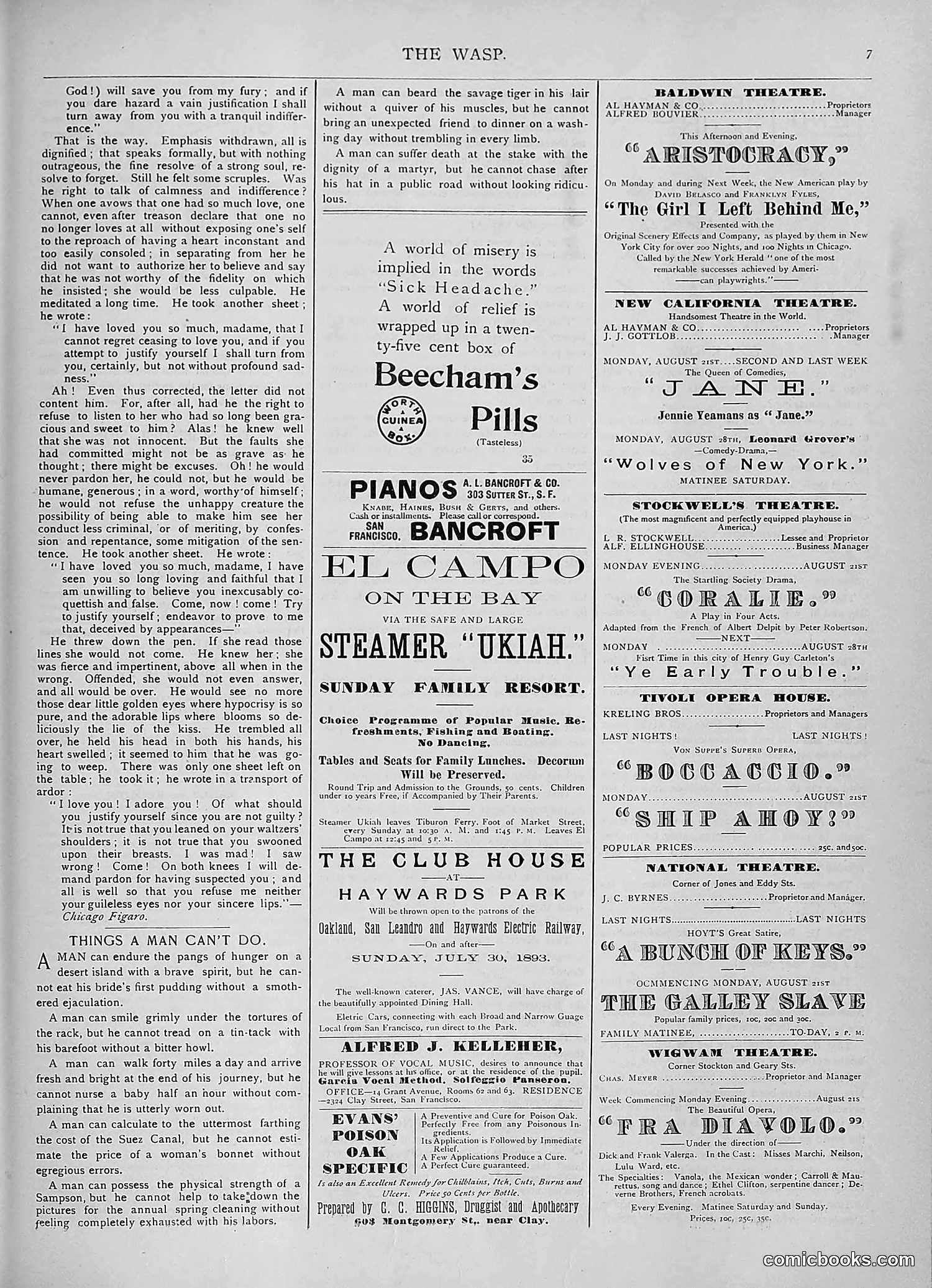 The Wasp — 1893 — page 162 of 578