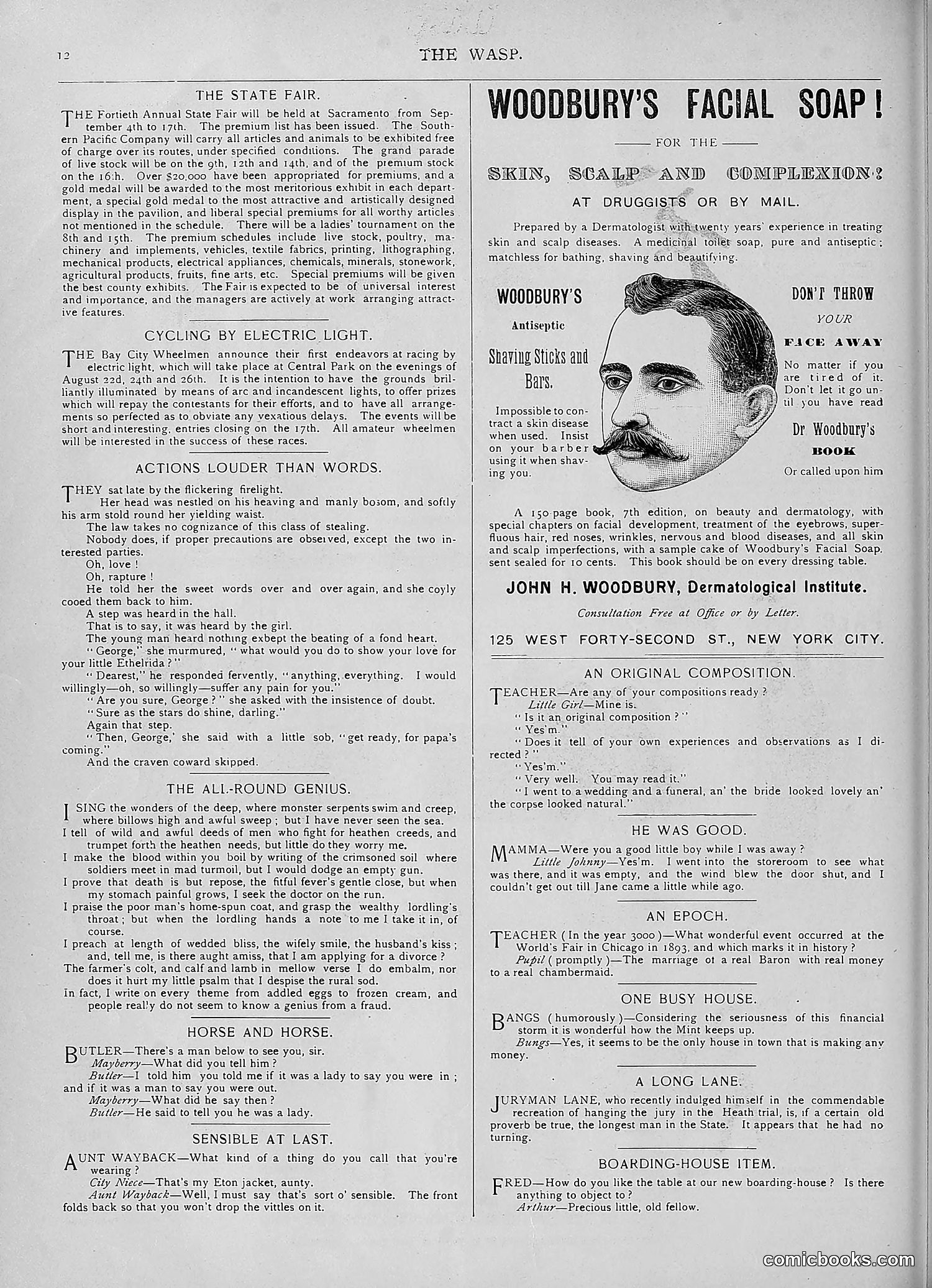 The Wasp — 1893 — page 167 of 578