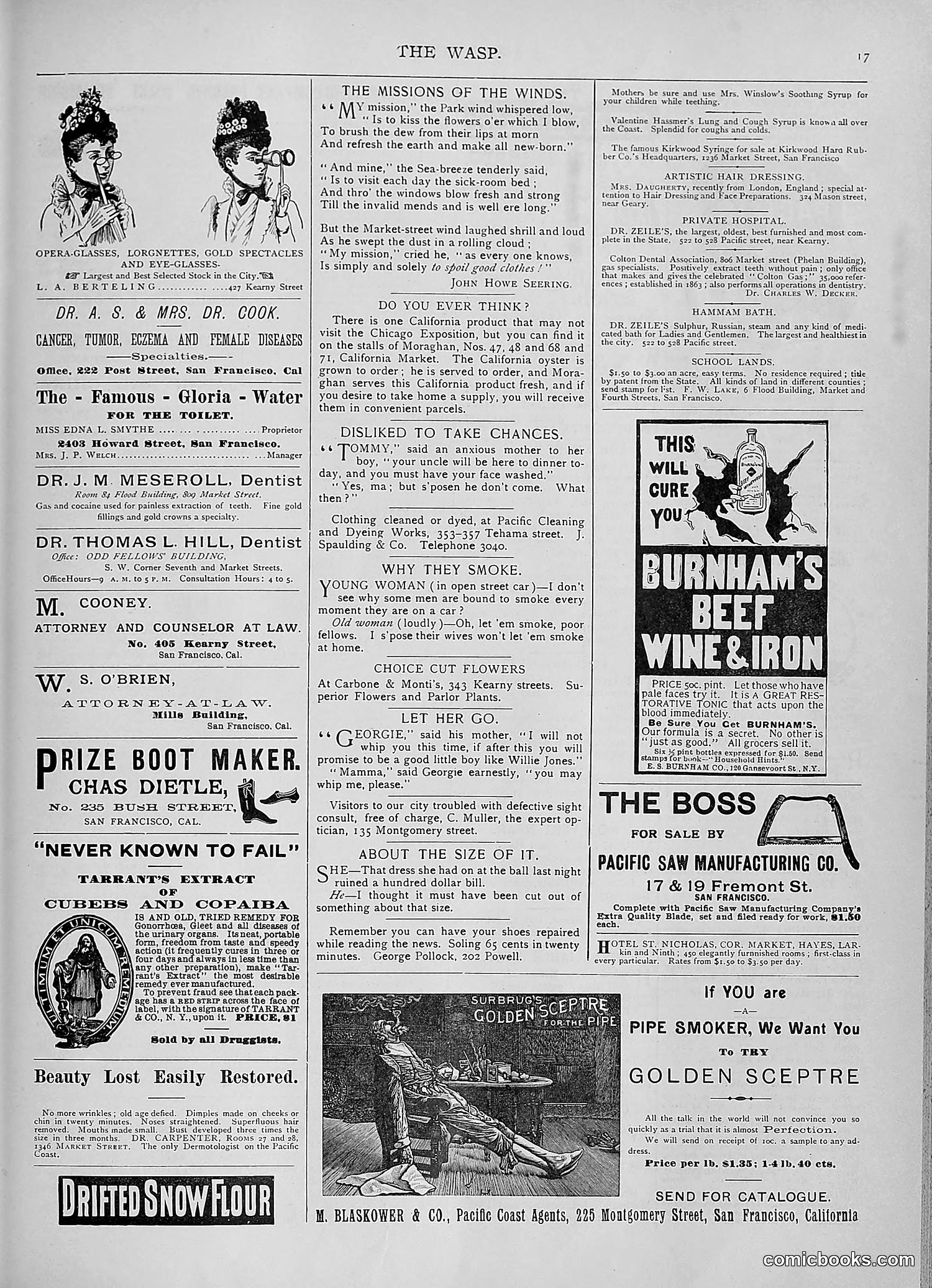 The Wasp — 1893 — page 172 of 578