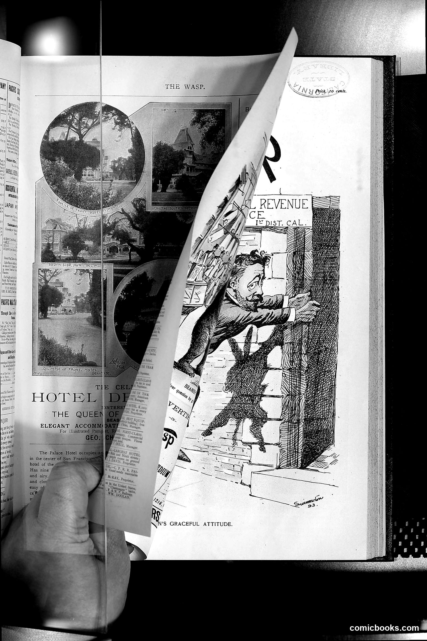 The Wasp — 1893 — page 176 of 578