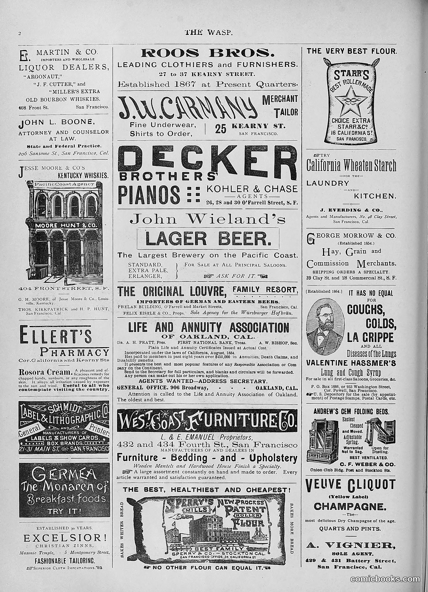 The Wasp — 1893 — page 179 of 578