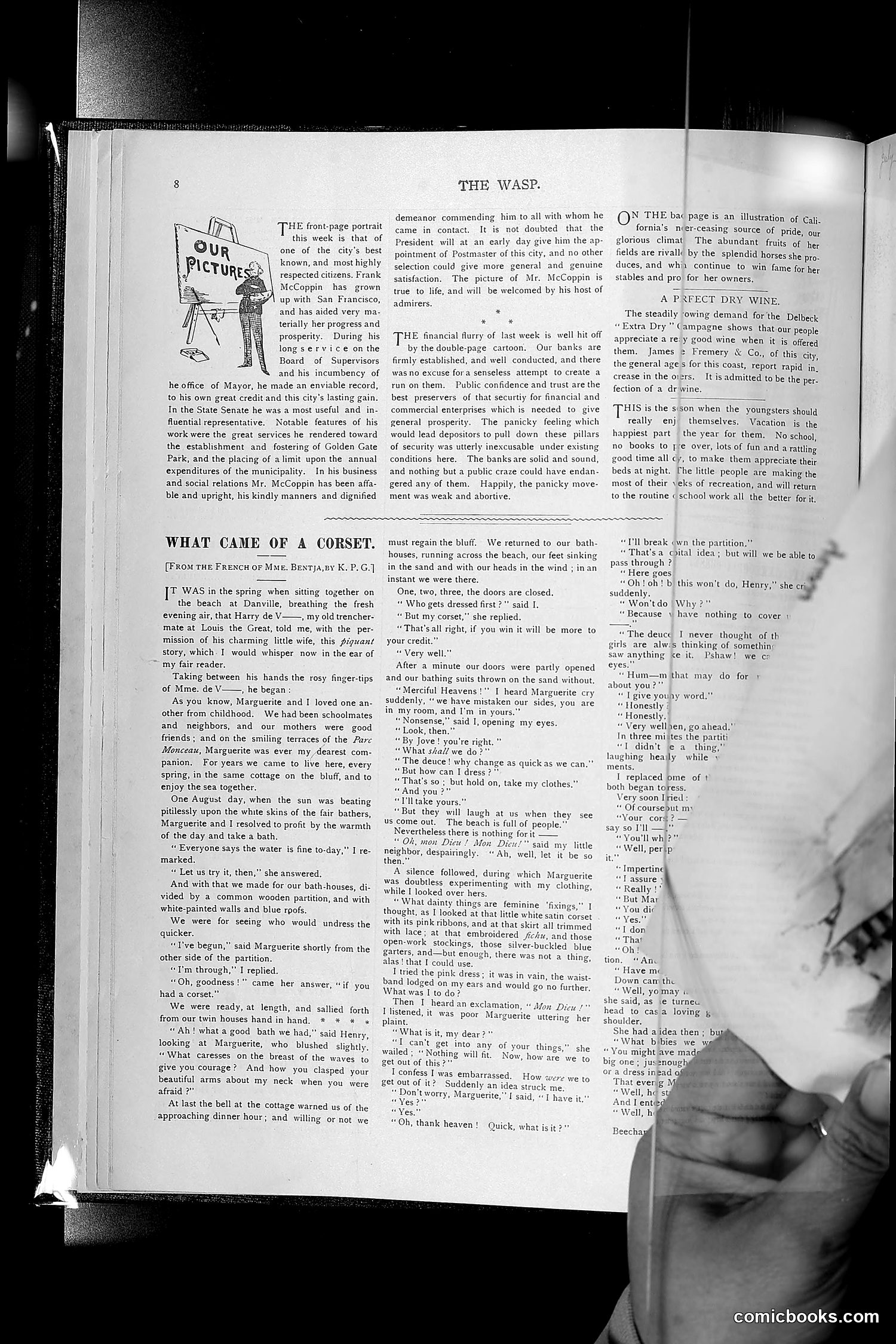The Wasp — 1893 — page 19 of 578