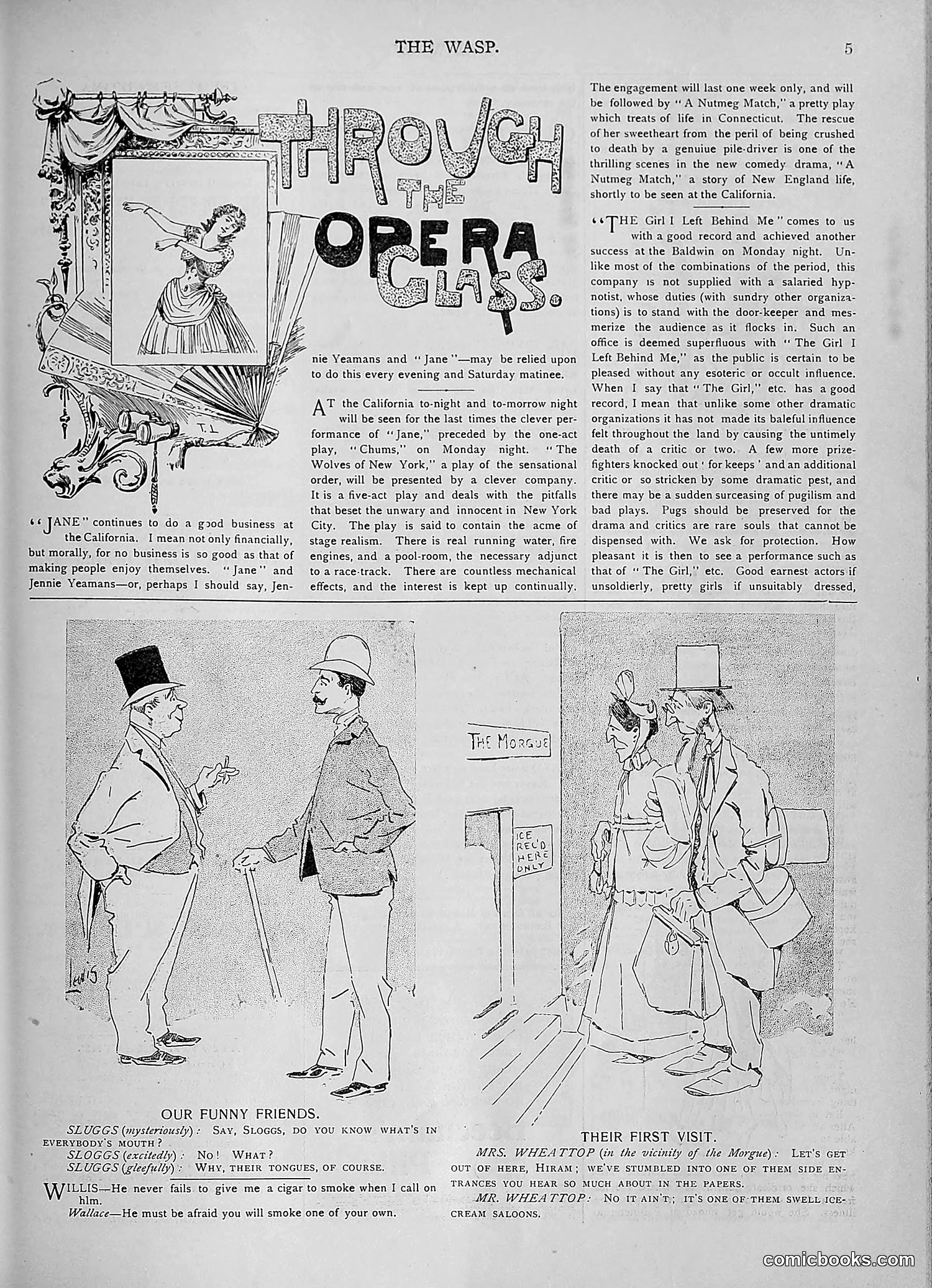 The Wasp — 1893 — page 182 of 578