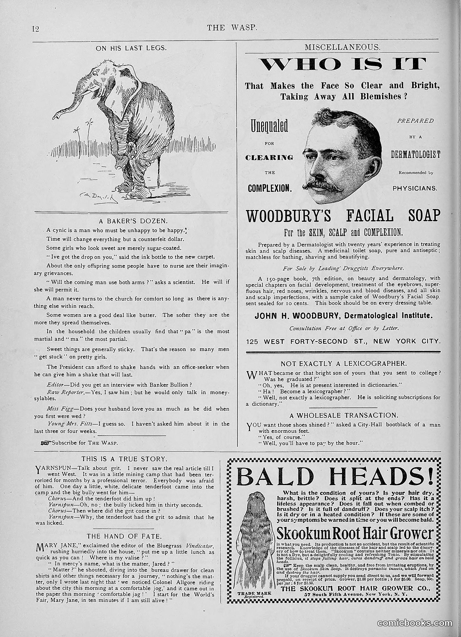 The Wasp — 1893 — page 189 of 578