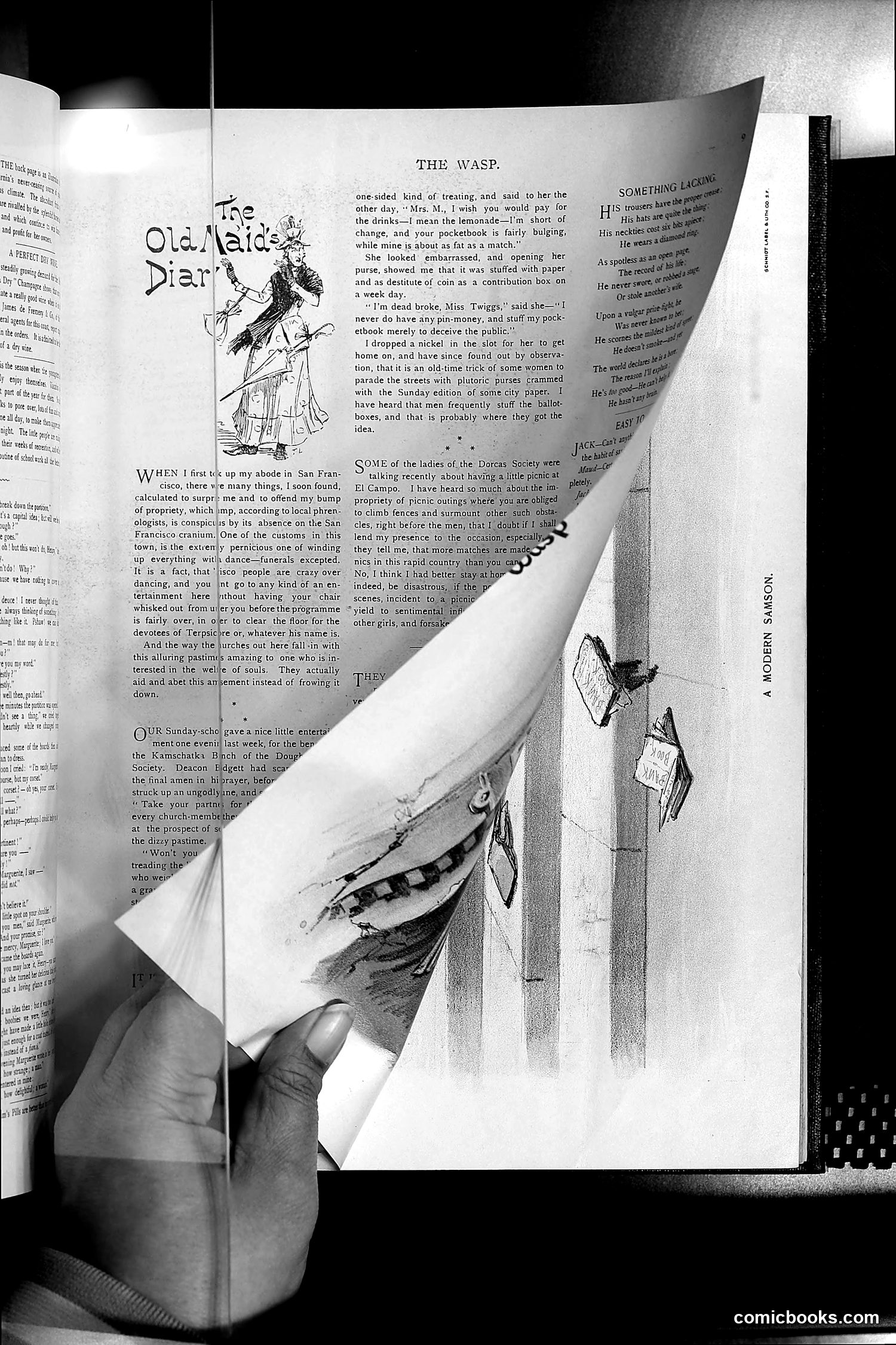 The Wasp — 1893 — page 20 of 578
