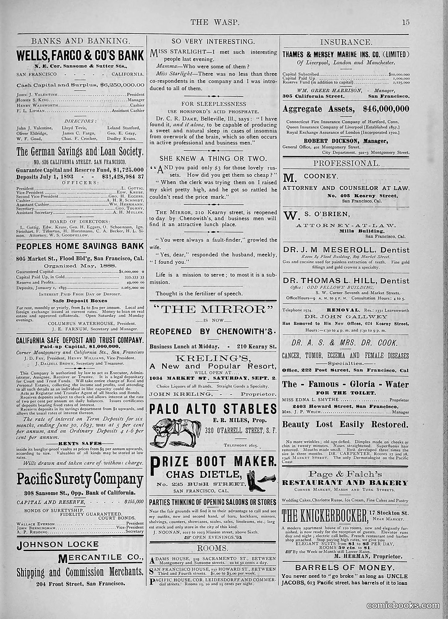 The Wasp — 1893 — page 192 of 578