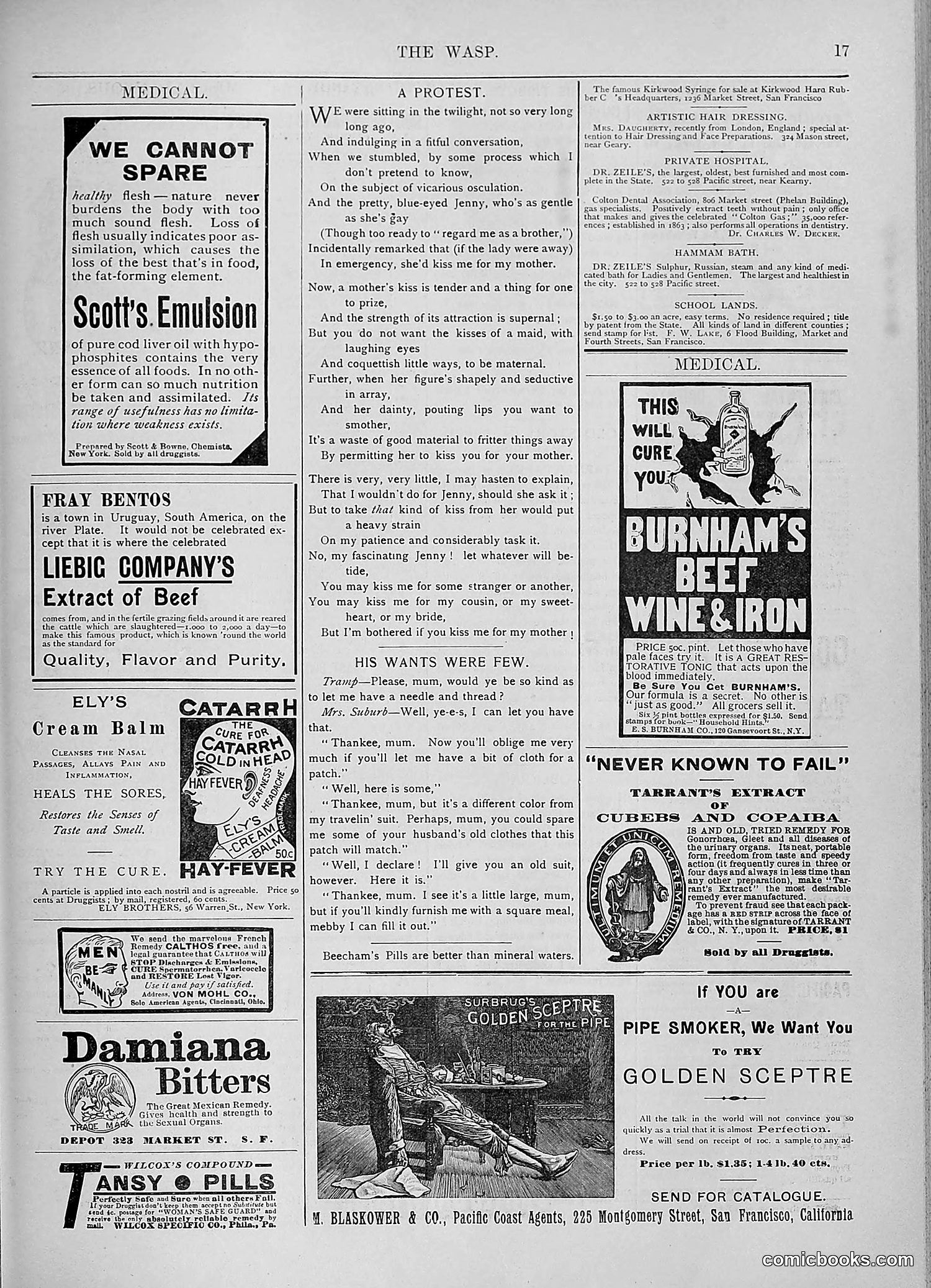 The Wasp — 1893 — page 194 of 578
