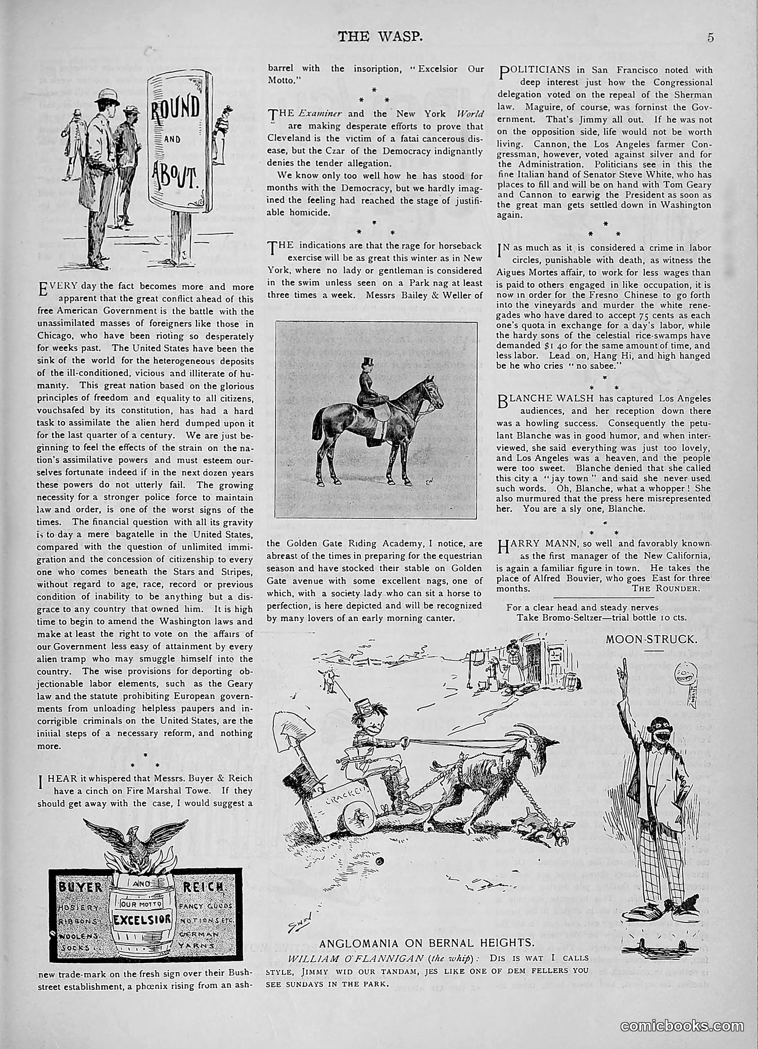 The Wasp — 1893 — page 202 of 578