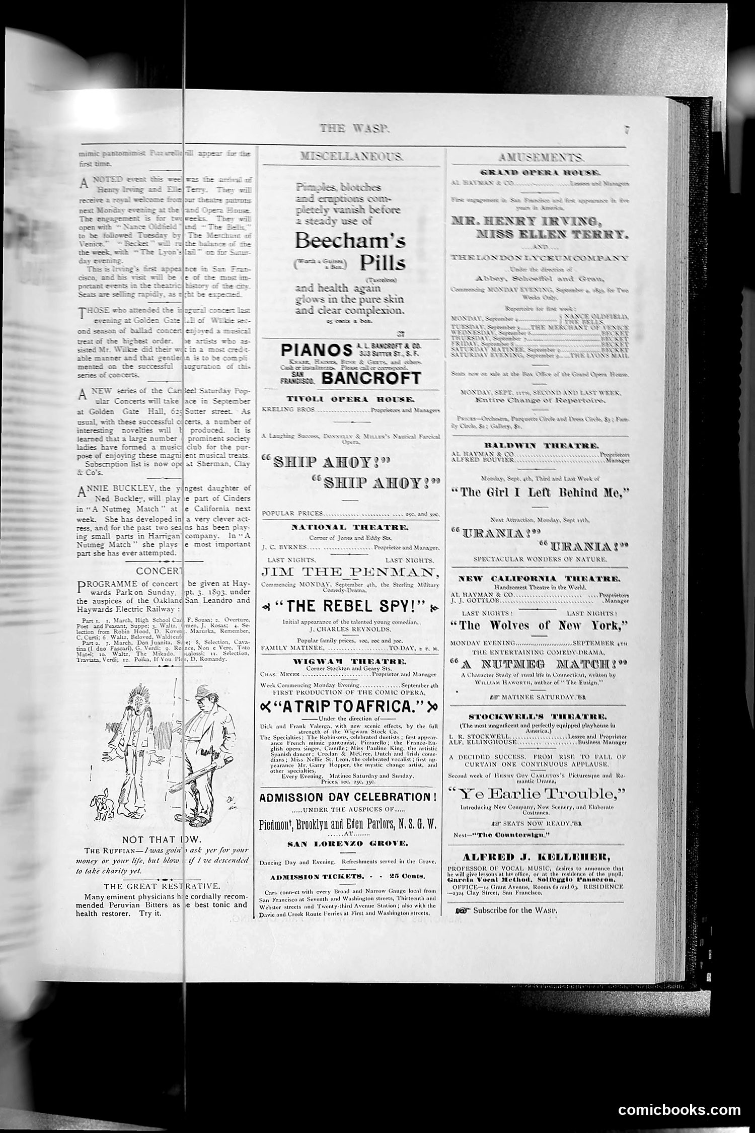 The Wasp — 1893 — page 204 of 578