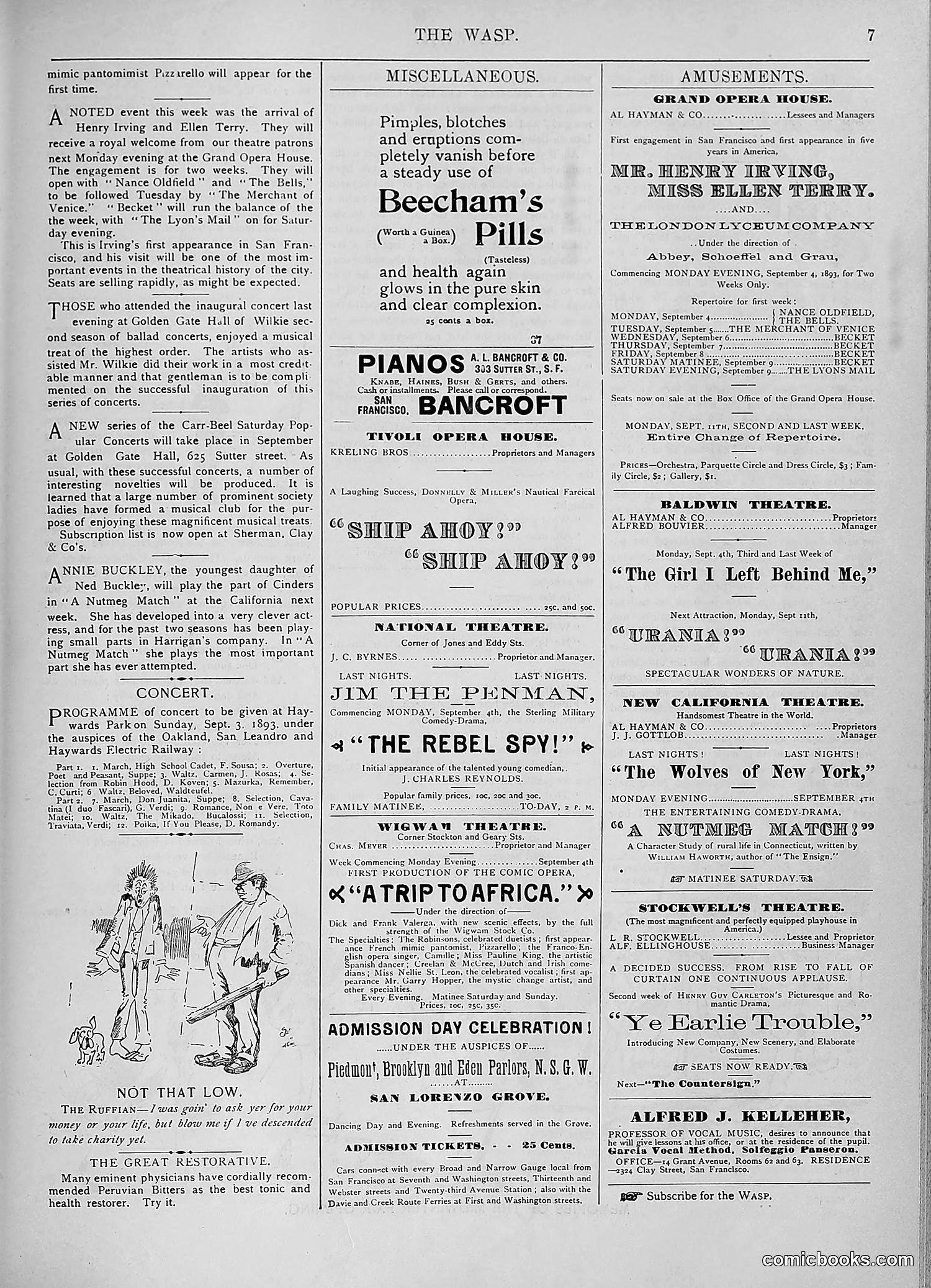 The Wasp — 1893 — page 206 of 578