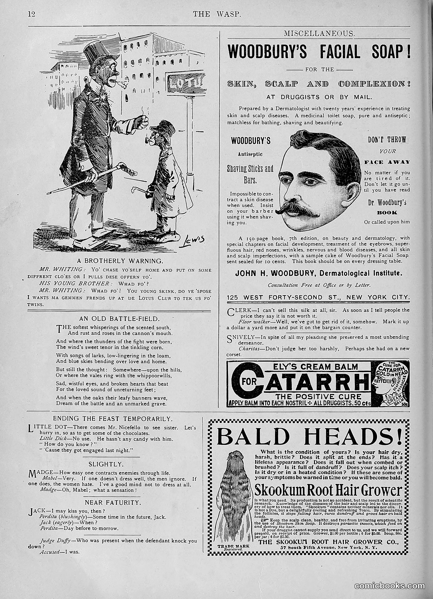 The Wasp — 1893 — page 211 of 578