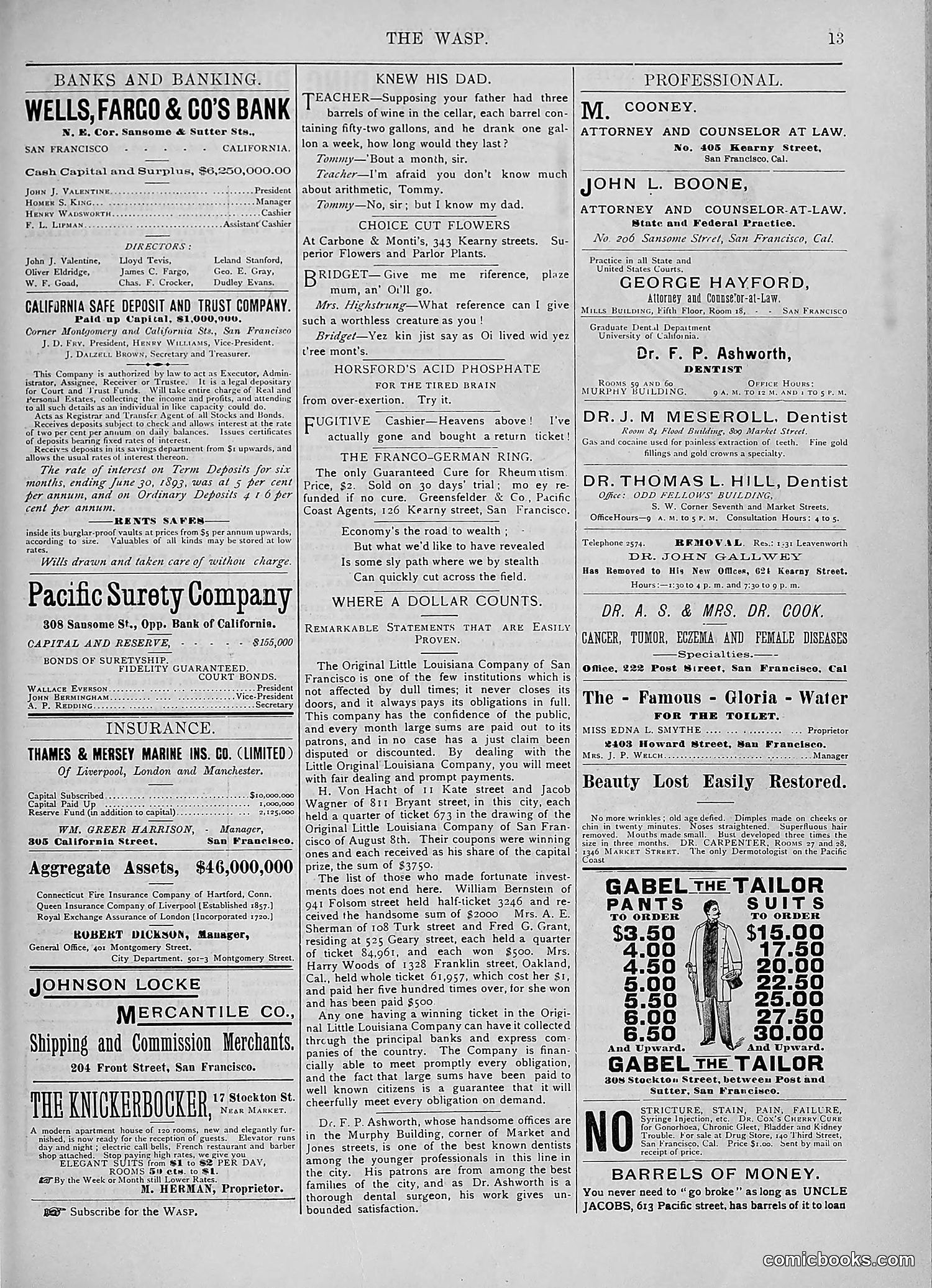 The Wasp — 1893 — page 212 of 578