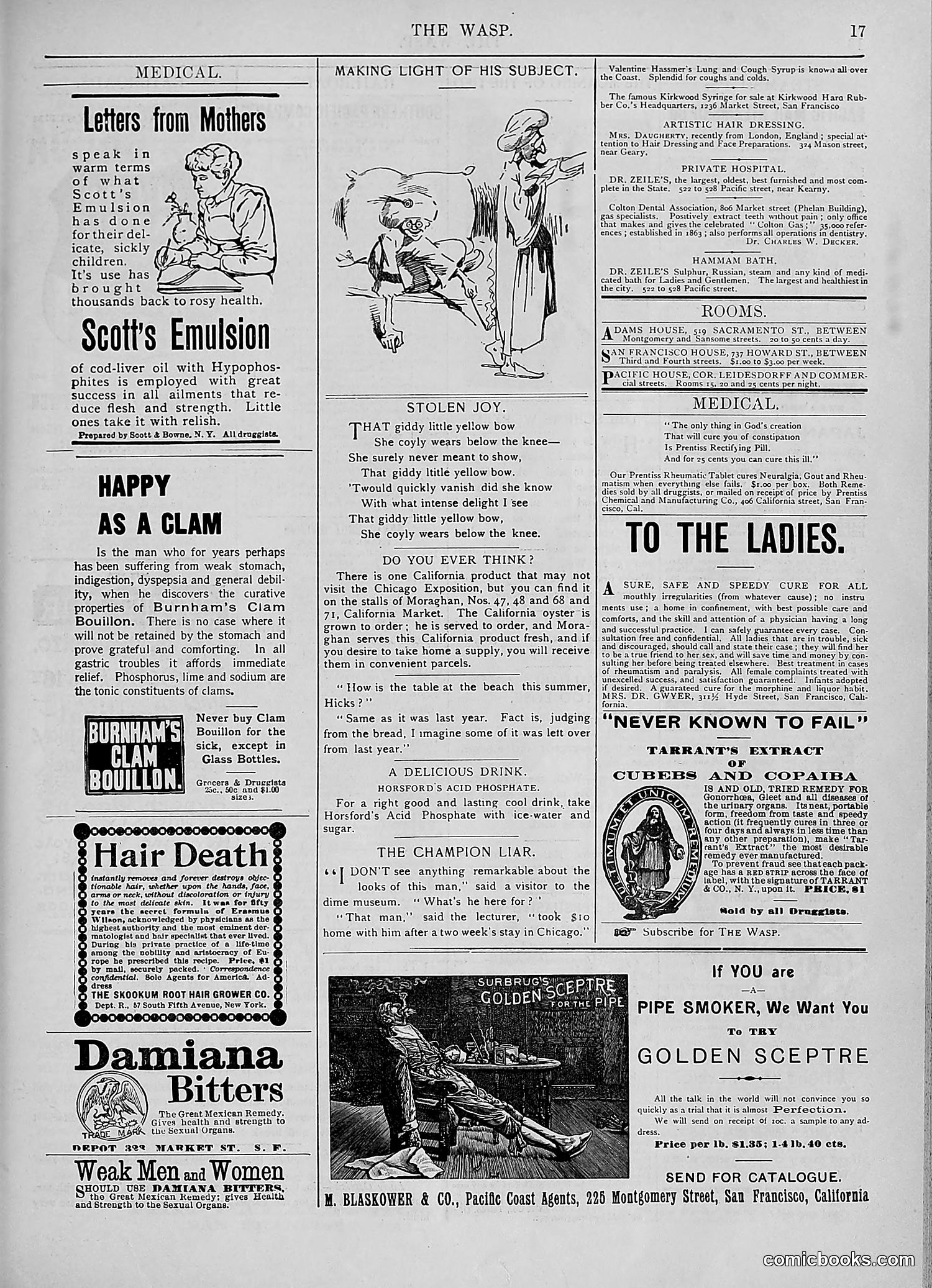 The Wasp — 1893 — page 216 of 578