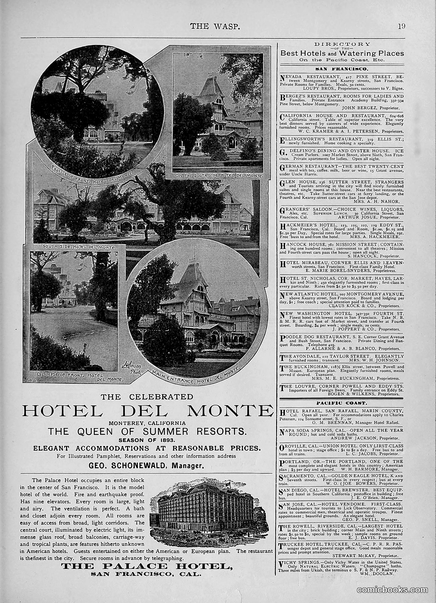 The Wasp — 1893 — page 218 of 578