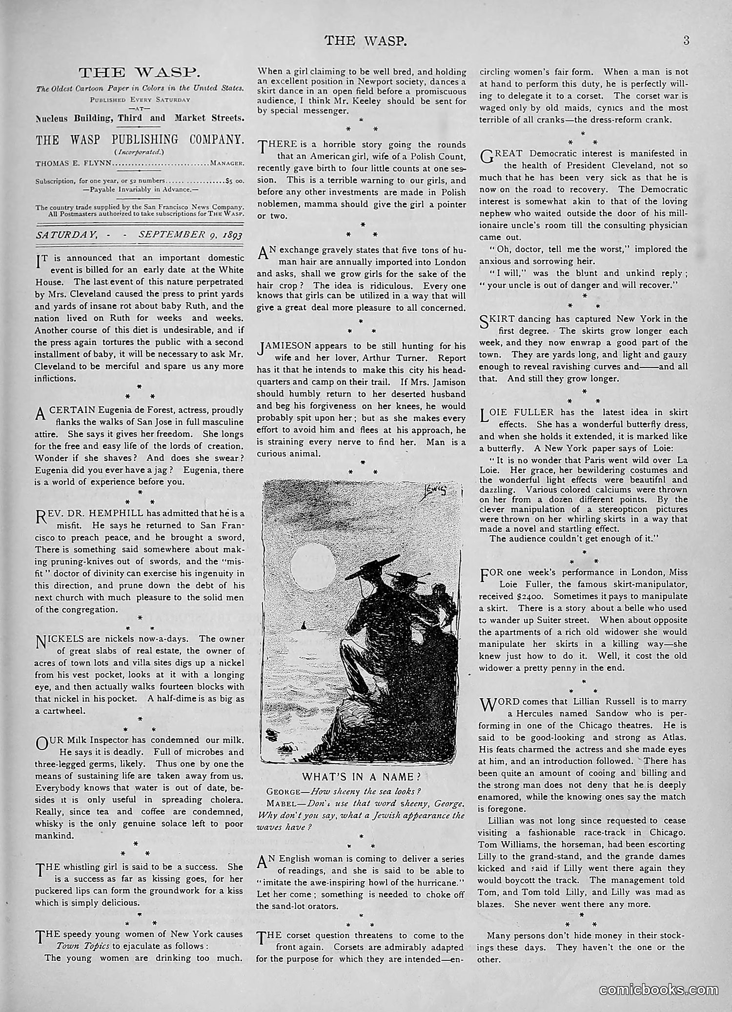 The Wasp — 1893 — page 222 of 578