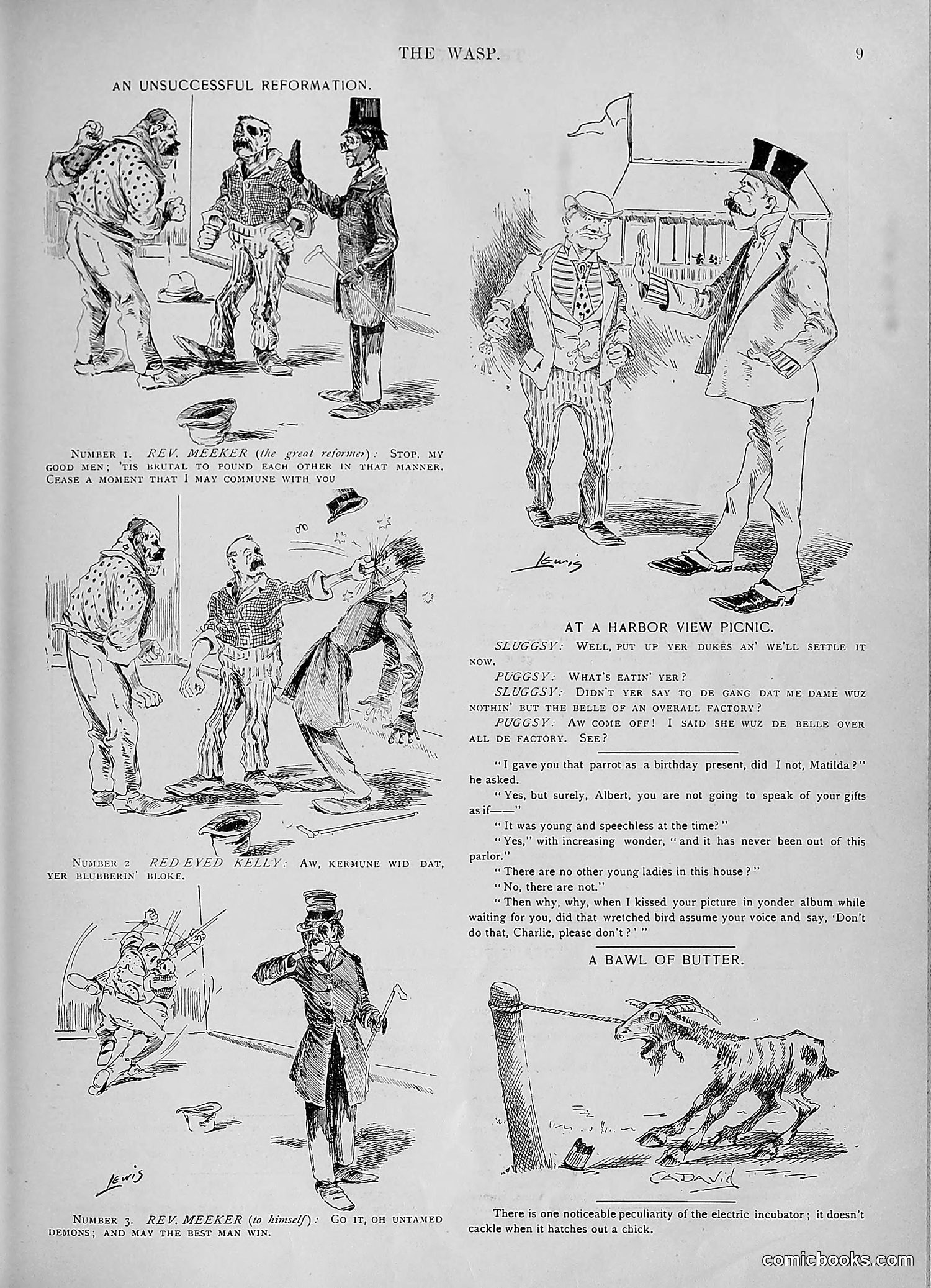 The Wasp — 1893 — page 228 of 578