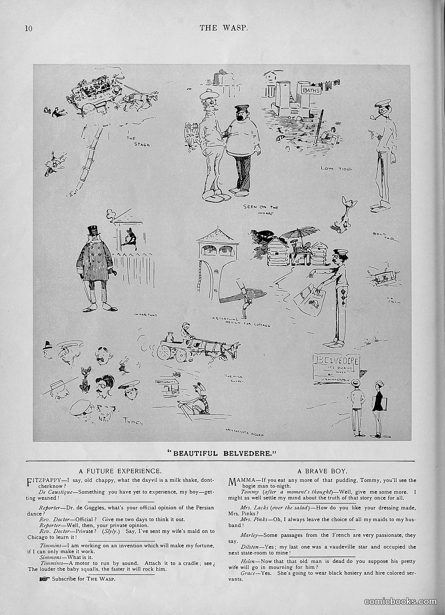 The Wasp — 1893 — page 229 of 578