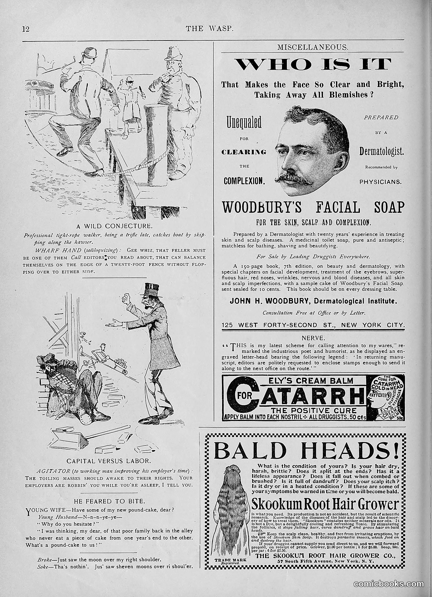 The Wasp — 1893 — page 231 of 578