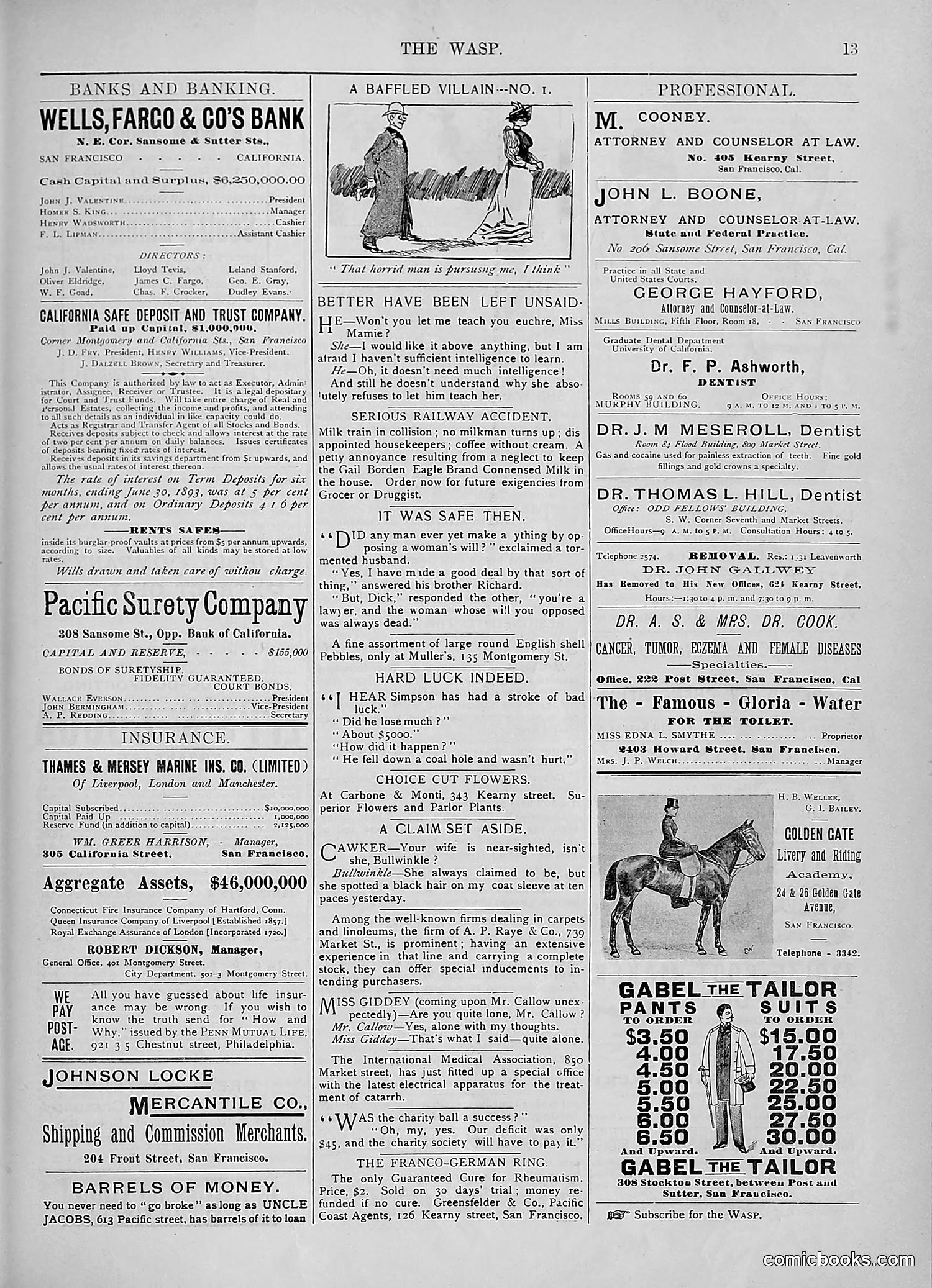 The Wasp — 1893 — page 232 of 578