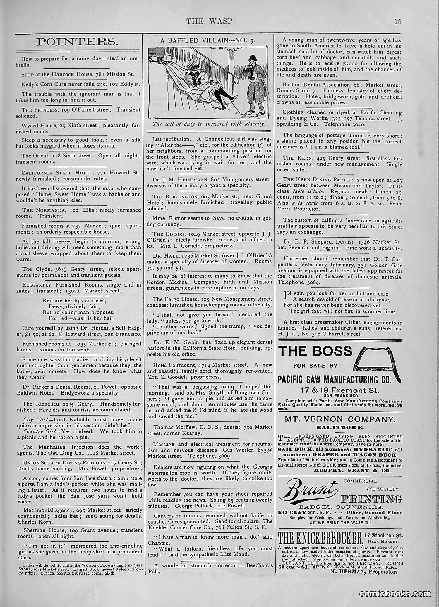 The Wasp — 1893 — page 234 of 578