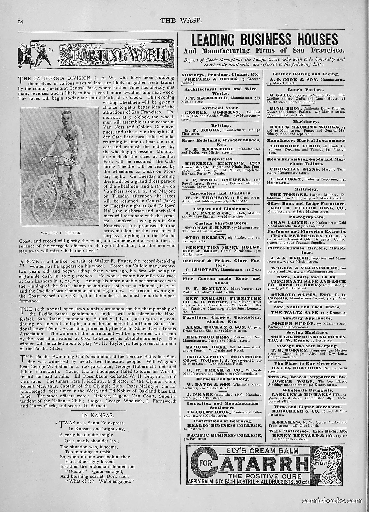 The Wasp — 1893 — page 25 of 578