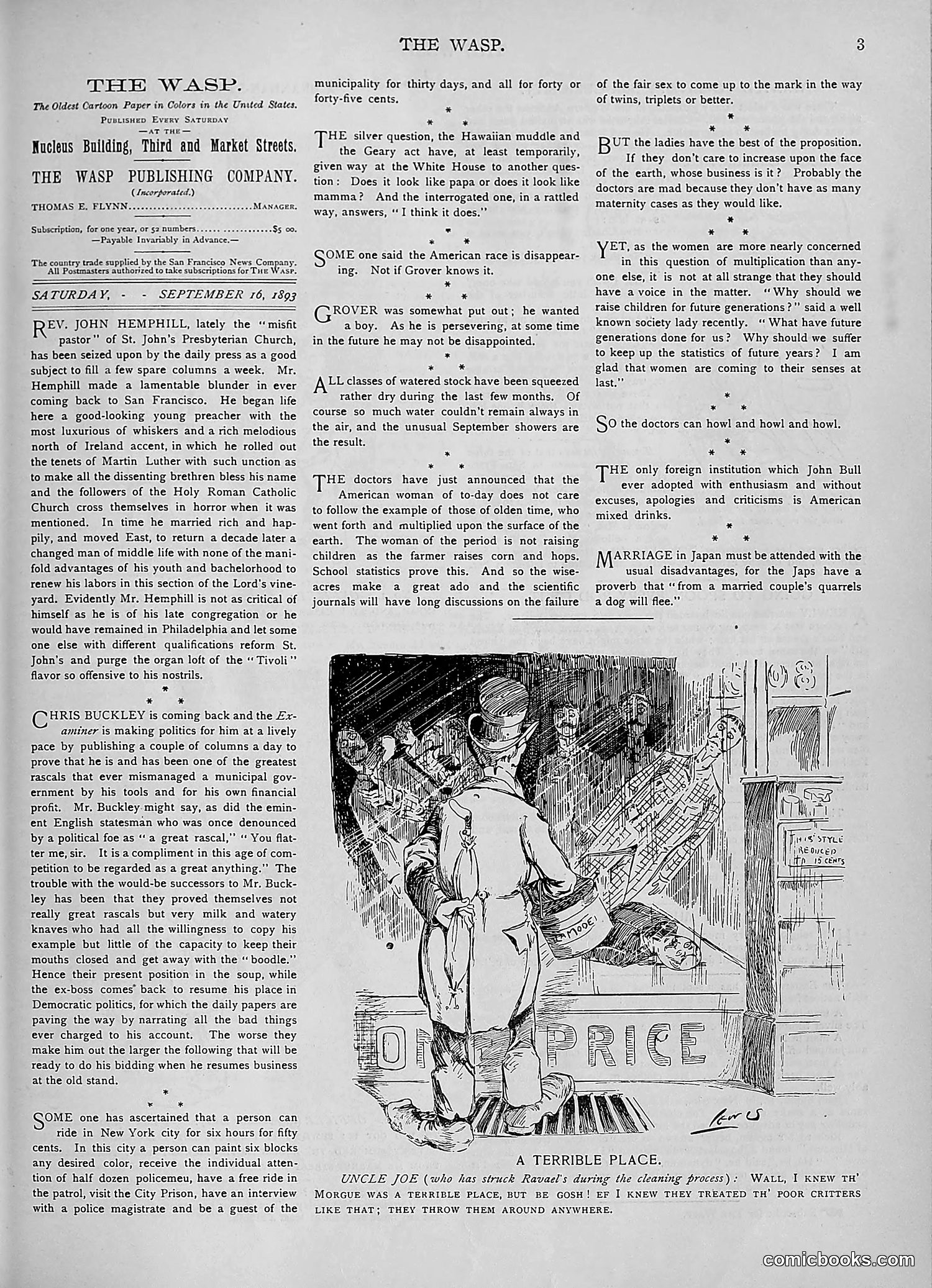 The Wasp — 1893 — page 242 of 578