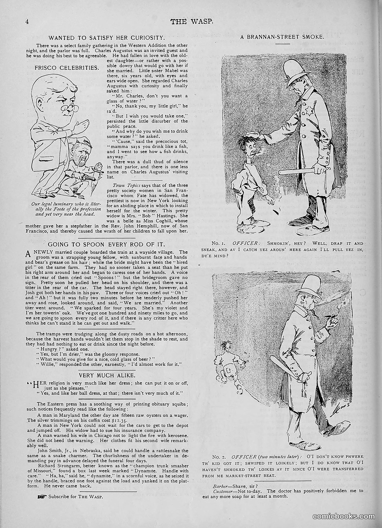 The Wasp — 1893 — page 243 of 578