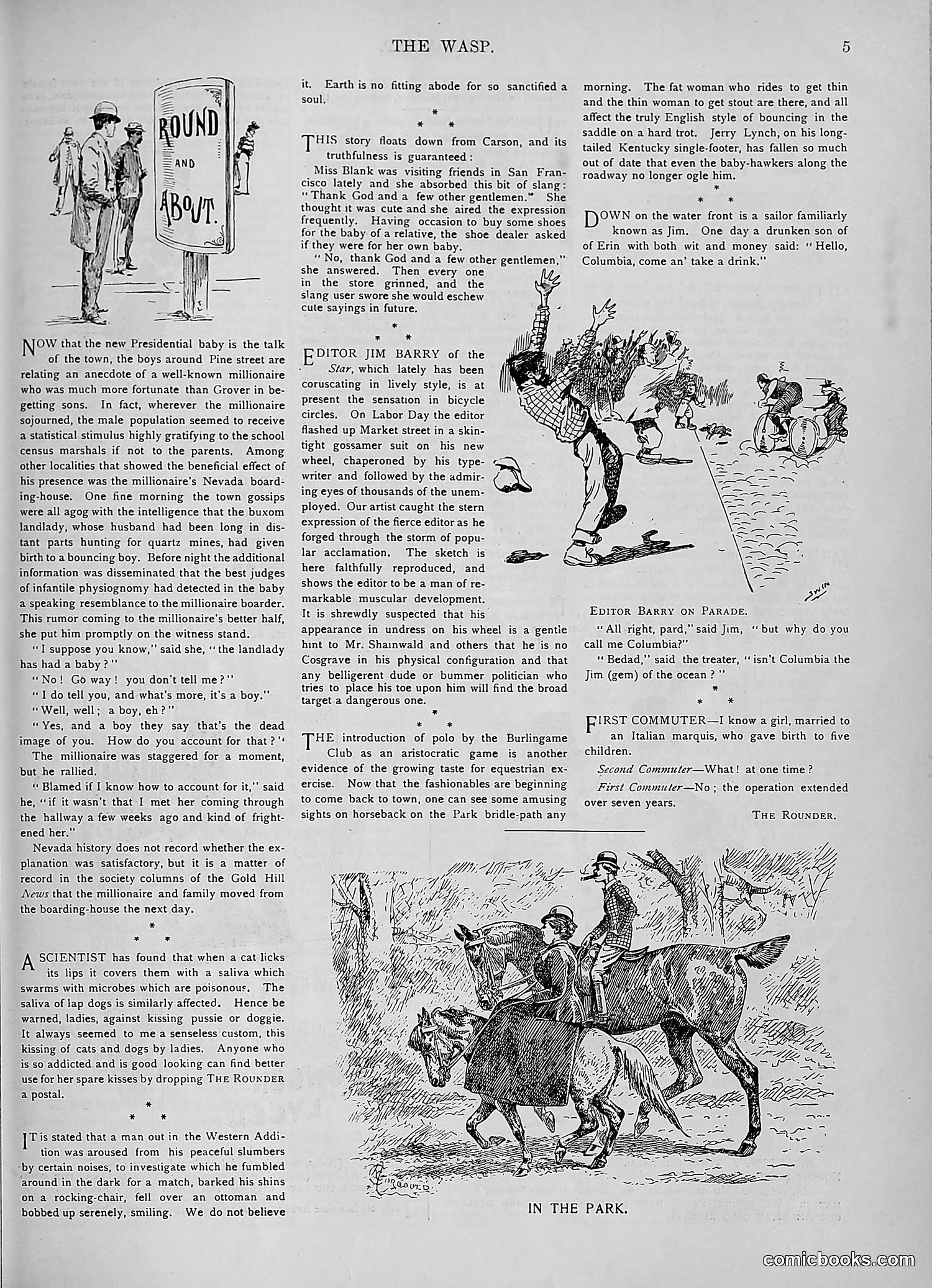 The Wasp — 1893 — page 244 of 578