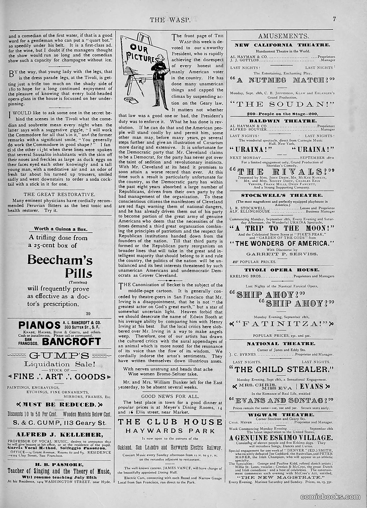 The Wasp — 1893 — page 246 of 578
